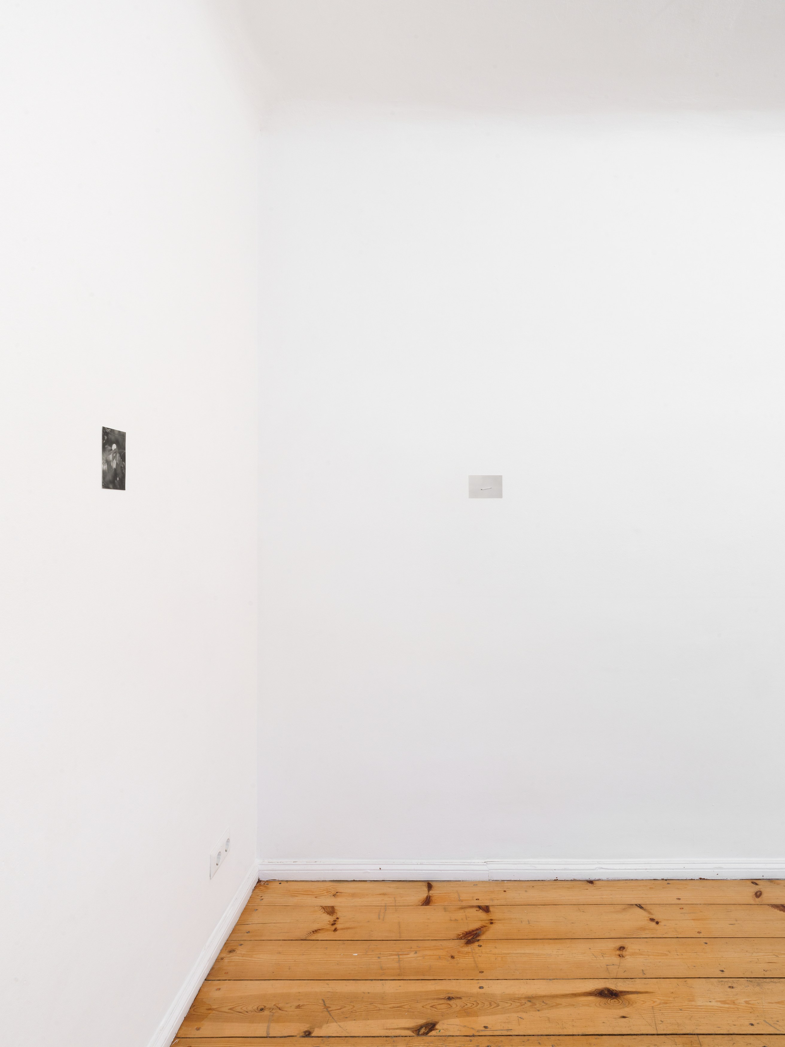Jochen Lempert, Presentation of a Large Book and Small Photos at BQ, photo 4