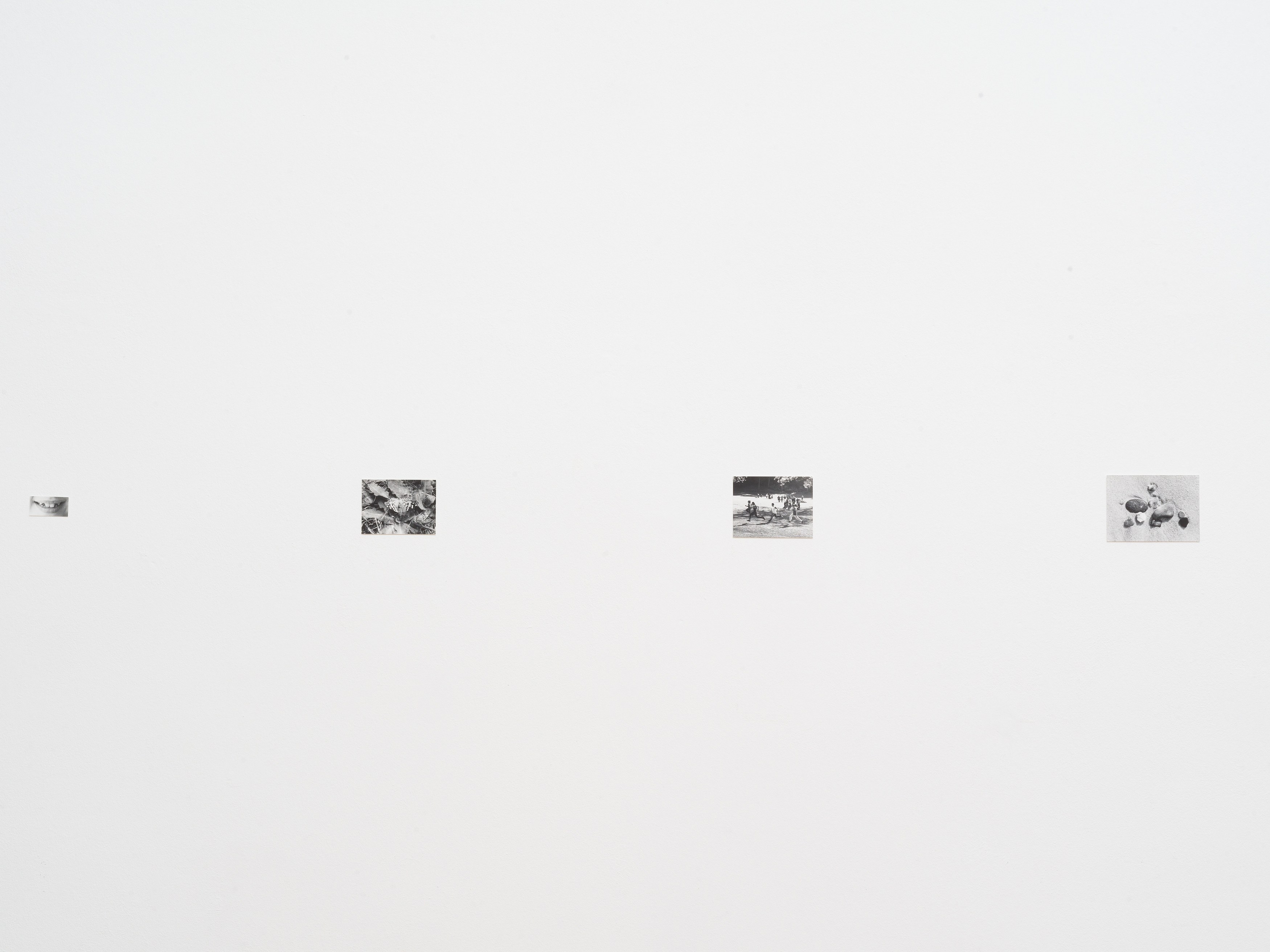 Jochen Lempert, Presentation of a Large Book and Small Photos at BQ, photo 14