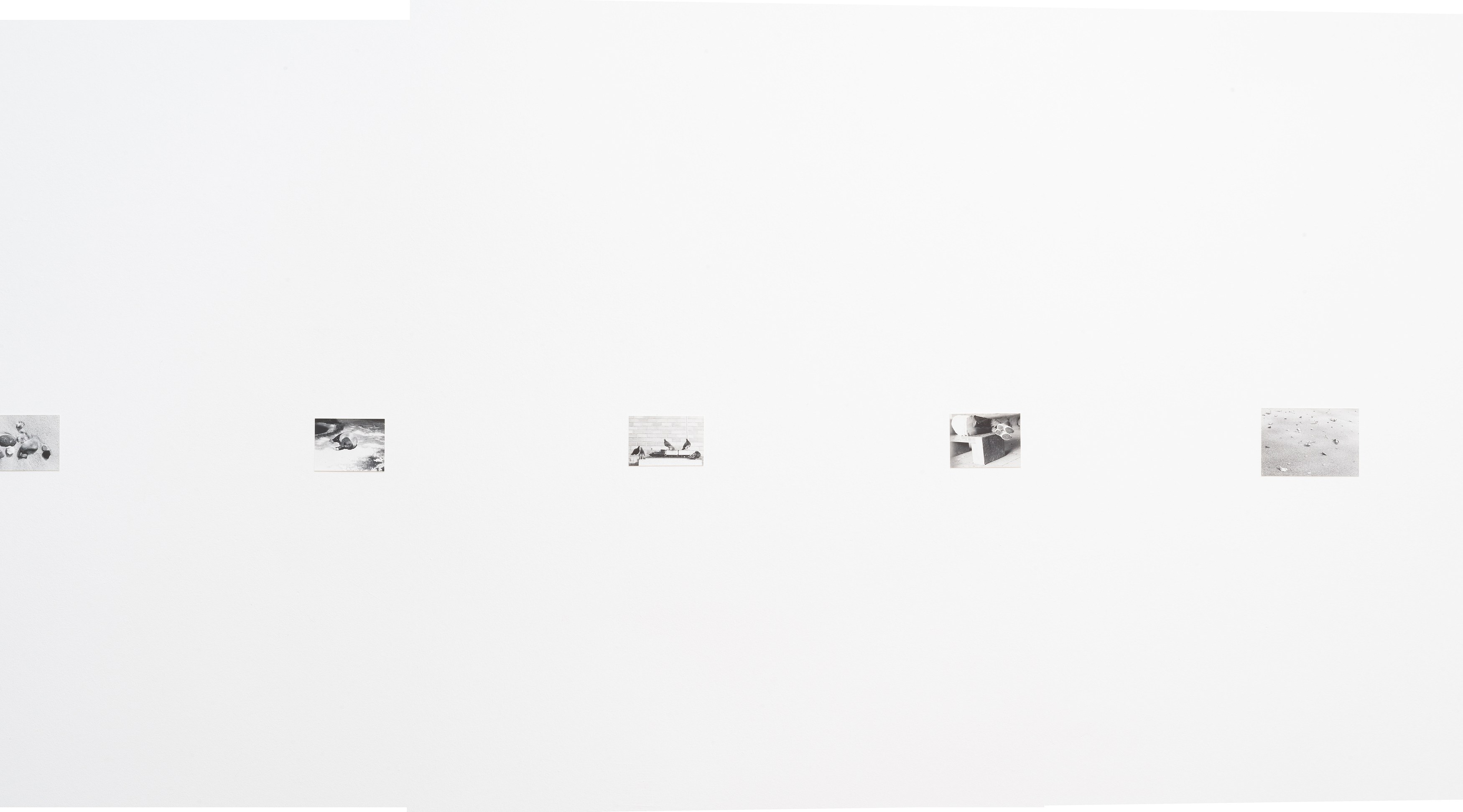 Jochen Lempert, Presentation of a Large Book and Small Photos at BQ, photo 15