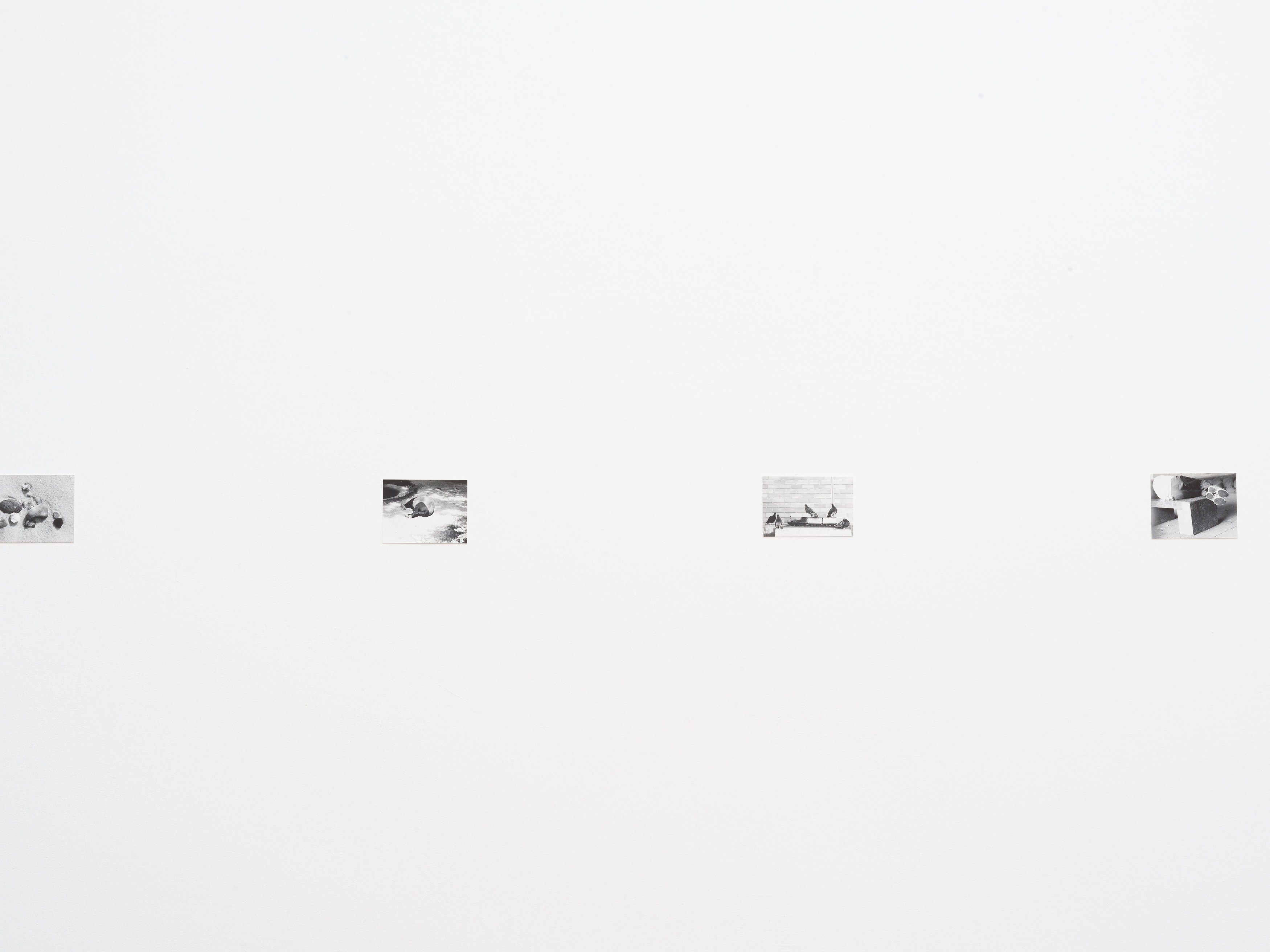 Jochen Lempert, Presentation of a Large Book and Small Photos at BQ, photo 16