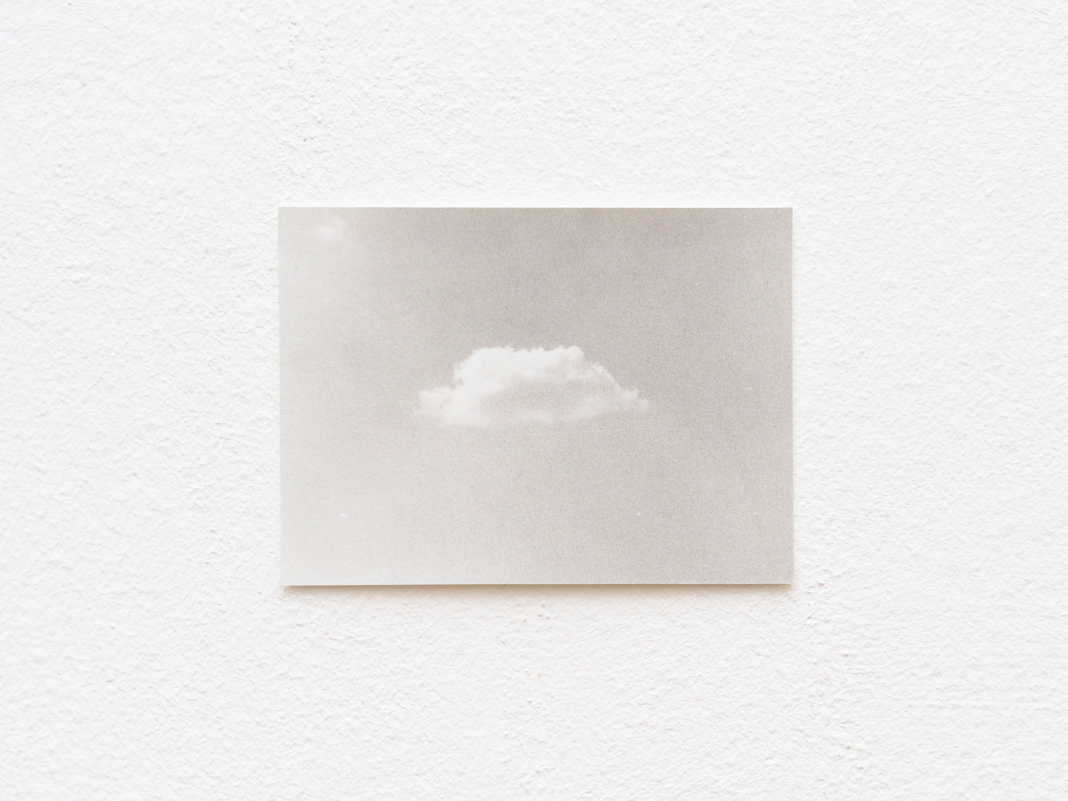 Jochen Lempert, Presentation of a Large Book and Small Photos at BQ, photo 19