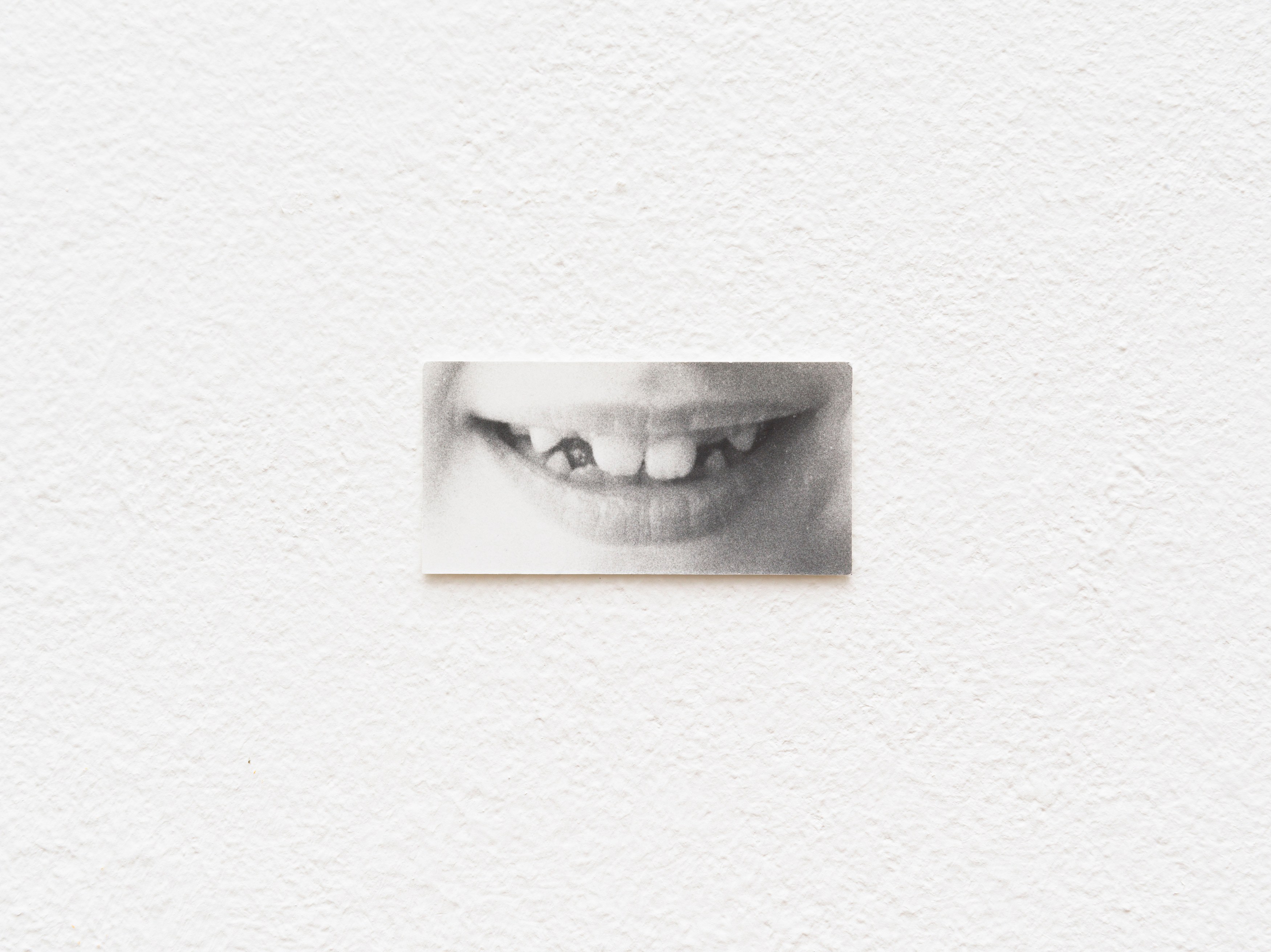 Jochen Lempert, Presentation of a Large Book and Small Photos at BQ, photo 20