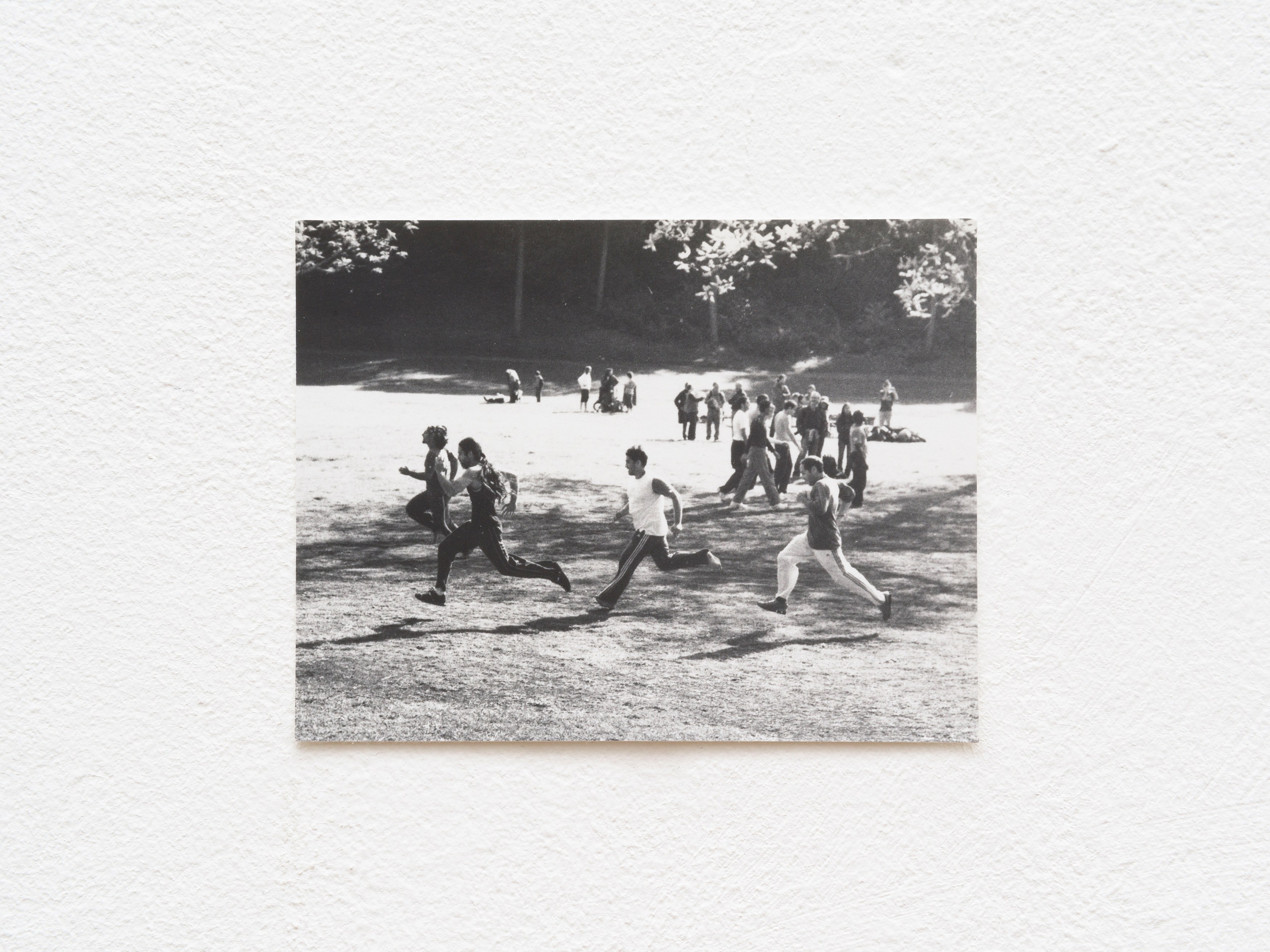Jochen Lempert, Presentation of a Large Book and Small Photos at BQ, photo 22