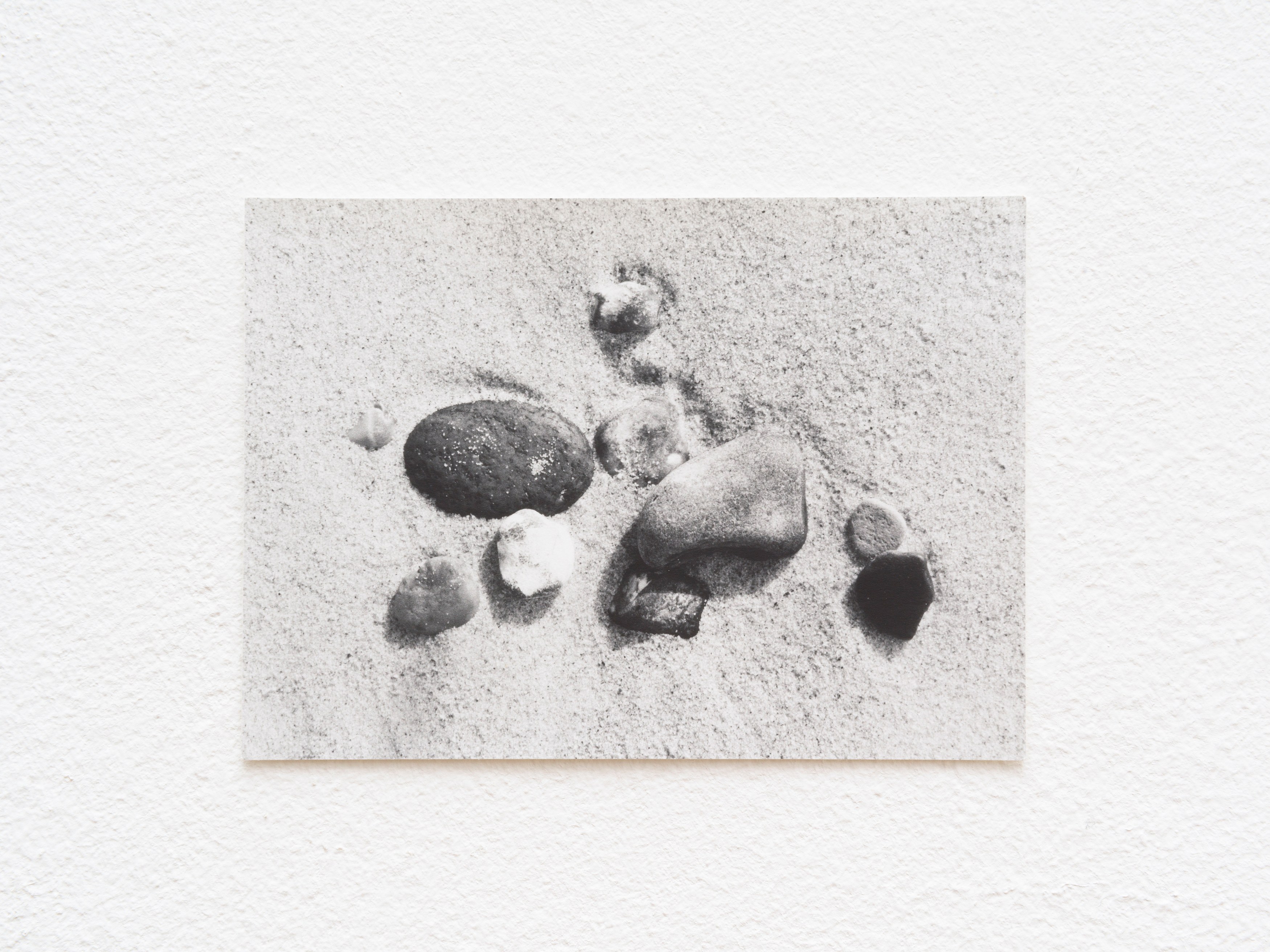 Jochen Lempert, Presentation of a Large Book and Small Photos at BQ, photo 23