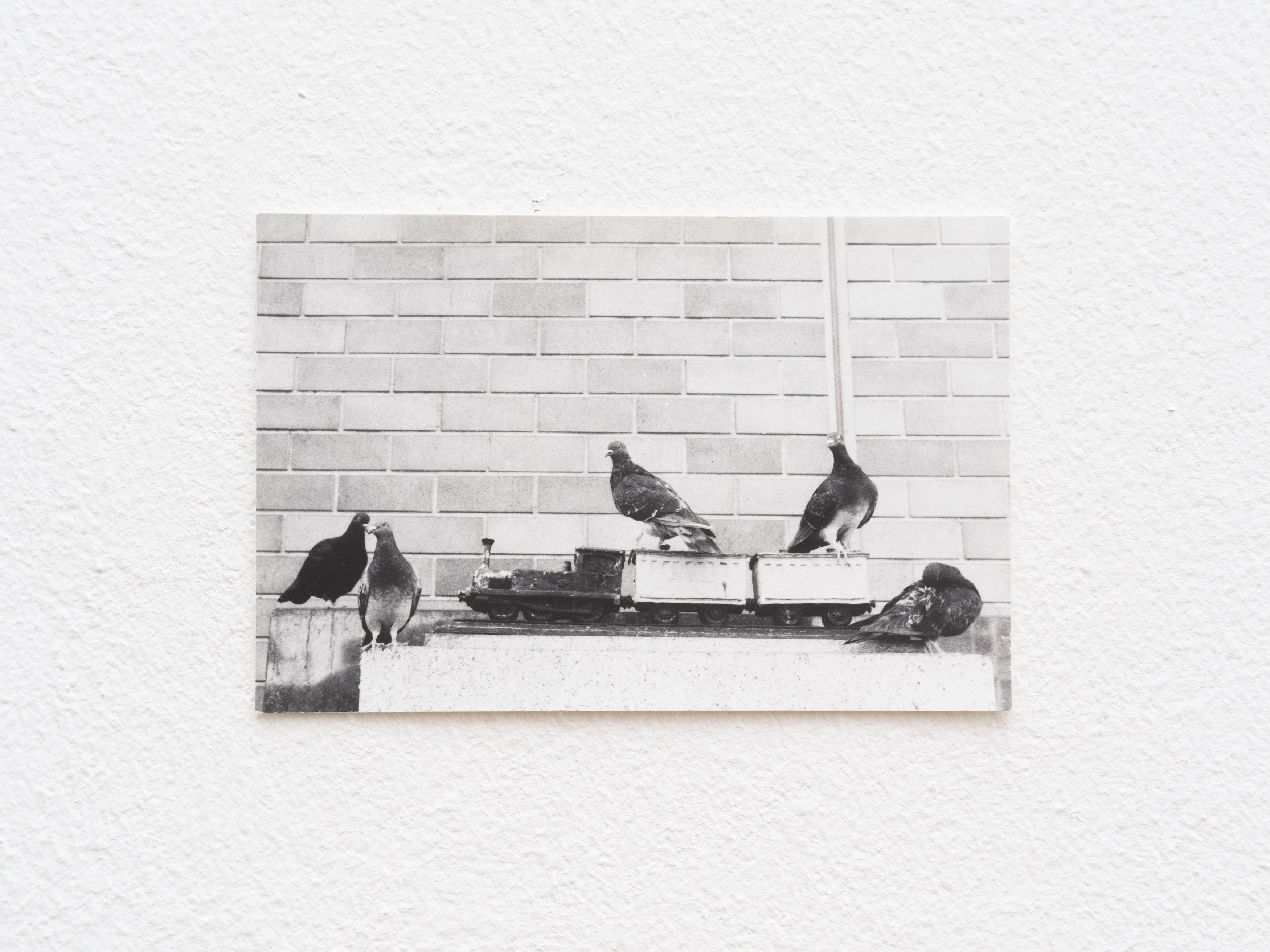Jochen Lempert, Presentation of a Large Book and Small Photos at BQ, photo 25