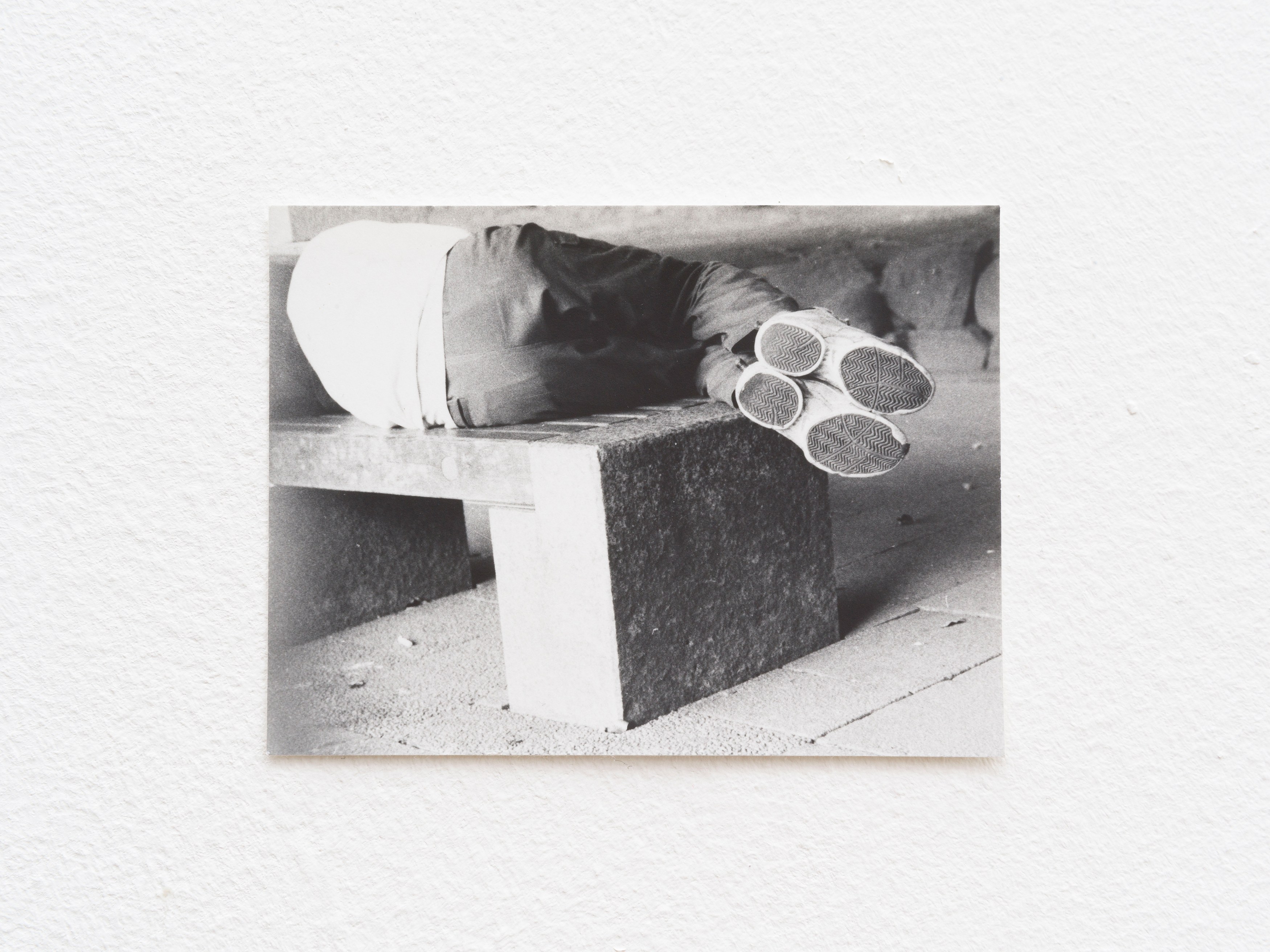 Jochen Lempert, Presentation of a Large Book and Small Photos at BQ, photo 26