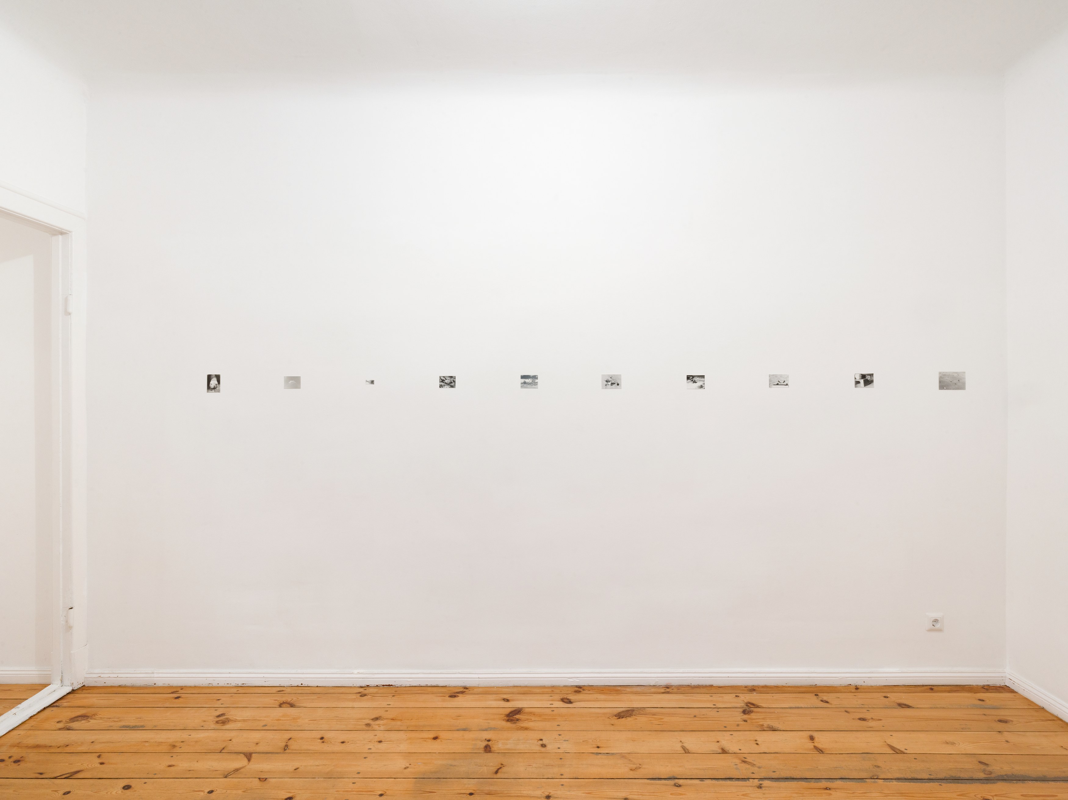 Jochen Lempert, Presentation of a Large Book and Small Photos at BQ, photo 10