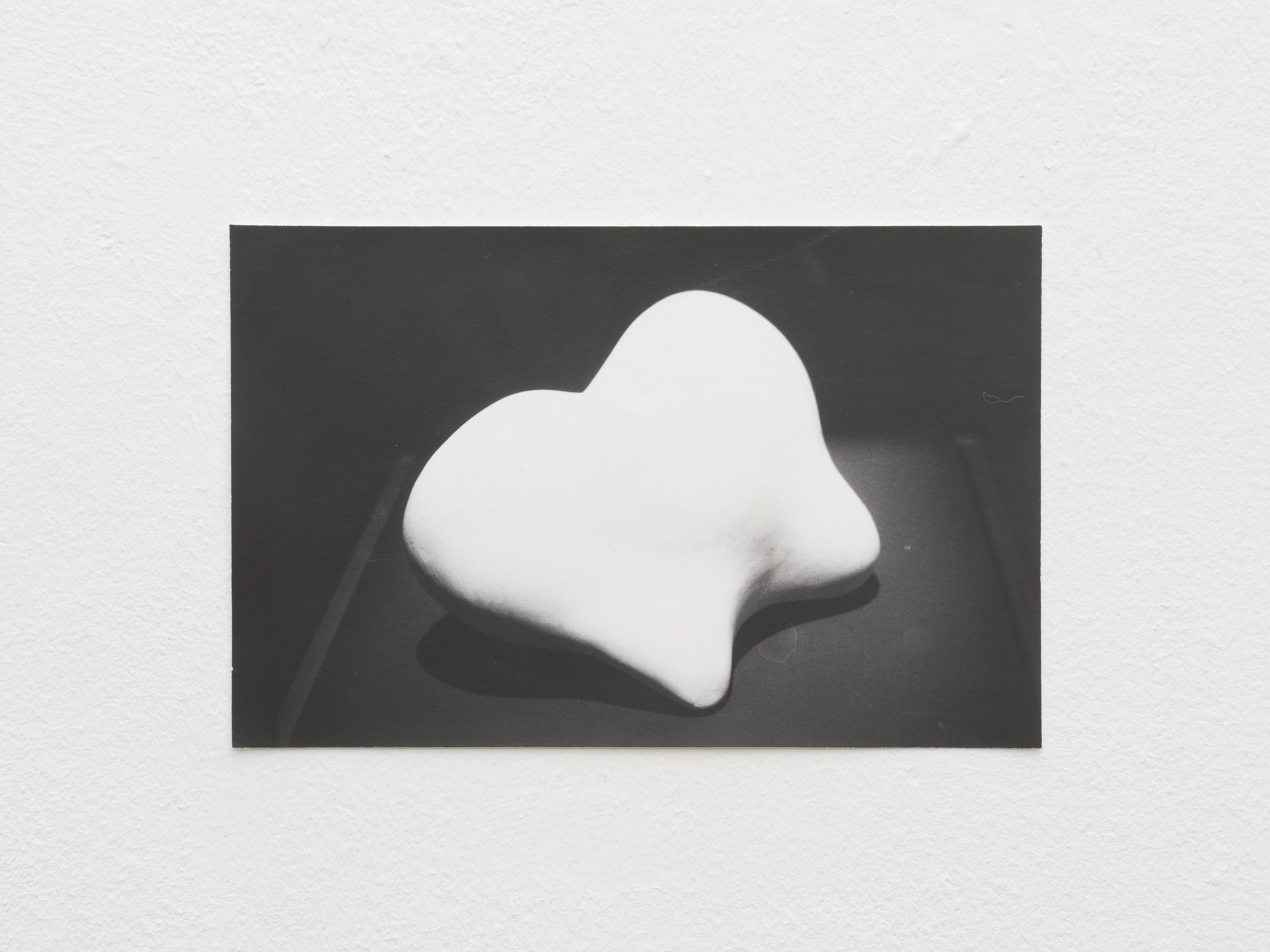 Jochen Lempert, Presentation of a Large Book and Small Photos at BQ, photo 28