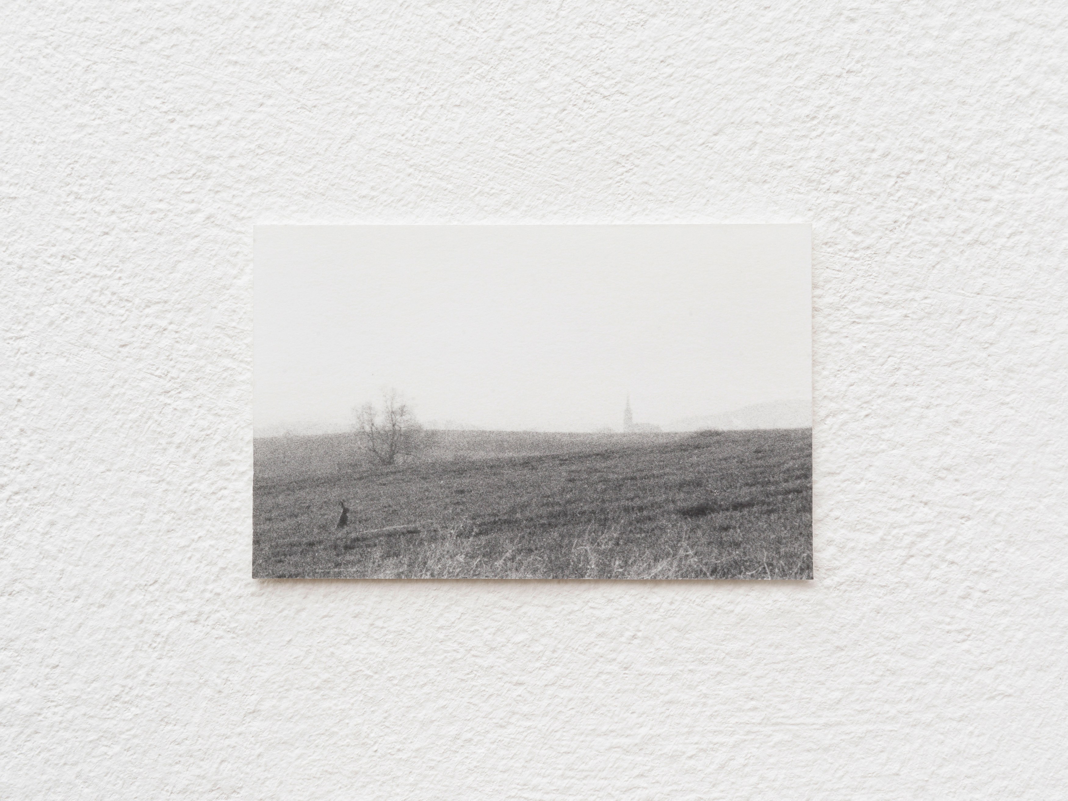 Jochen Lempert, Presentation of a Large Book and Small Photos at BQ, photo 29