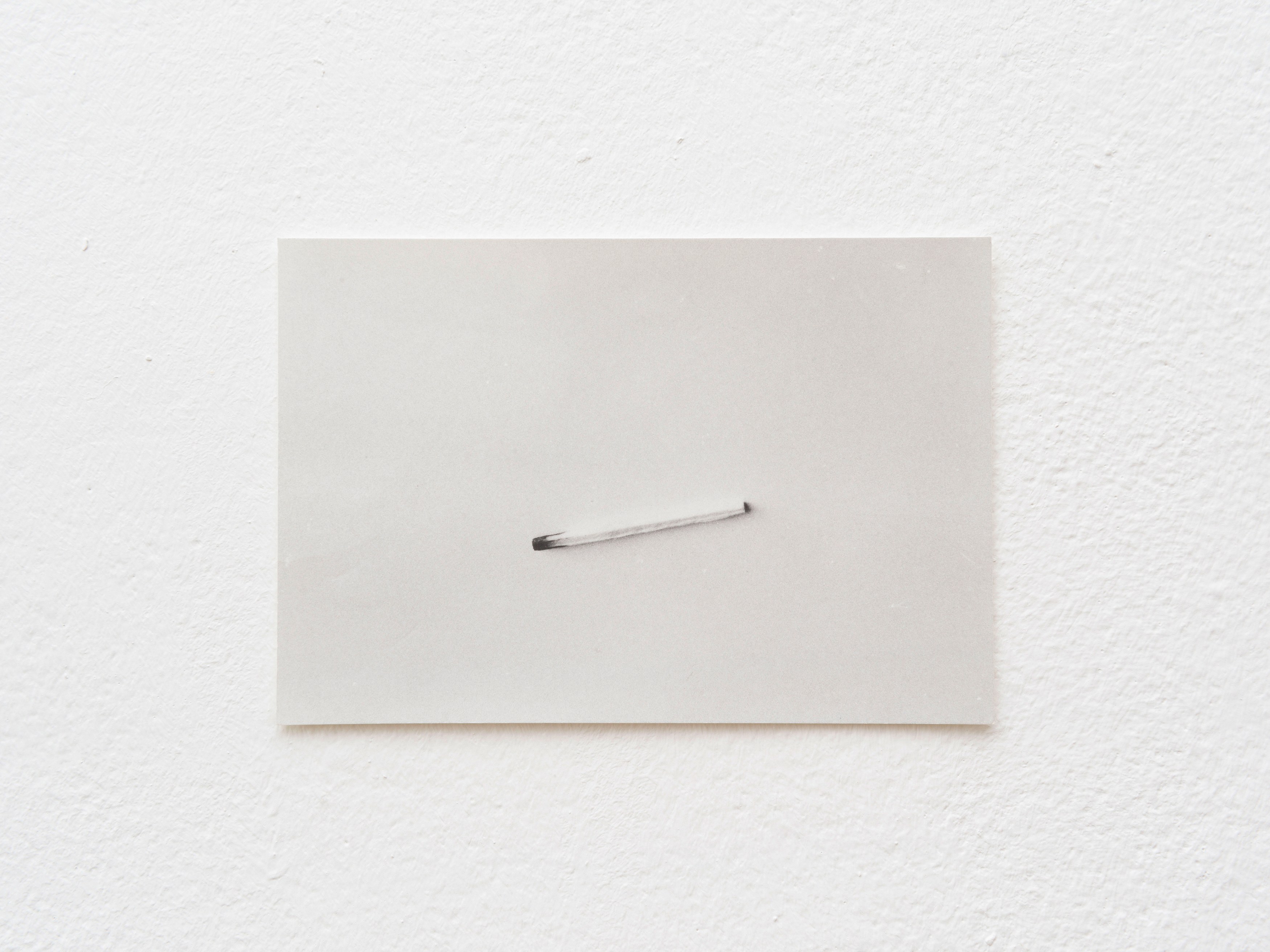 Jochen Lempert, Presentation of a Large Book and Small Photos at BQ, photo 31