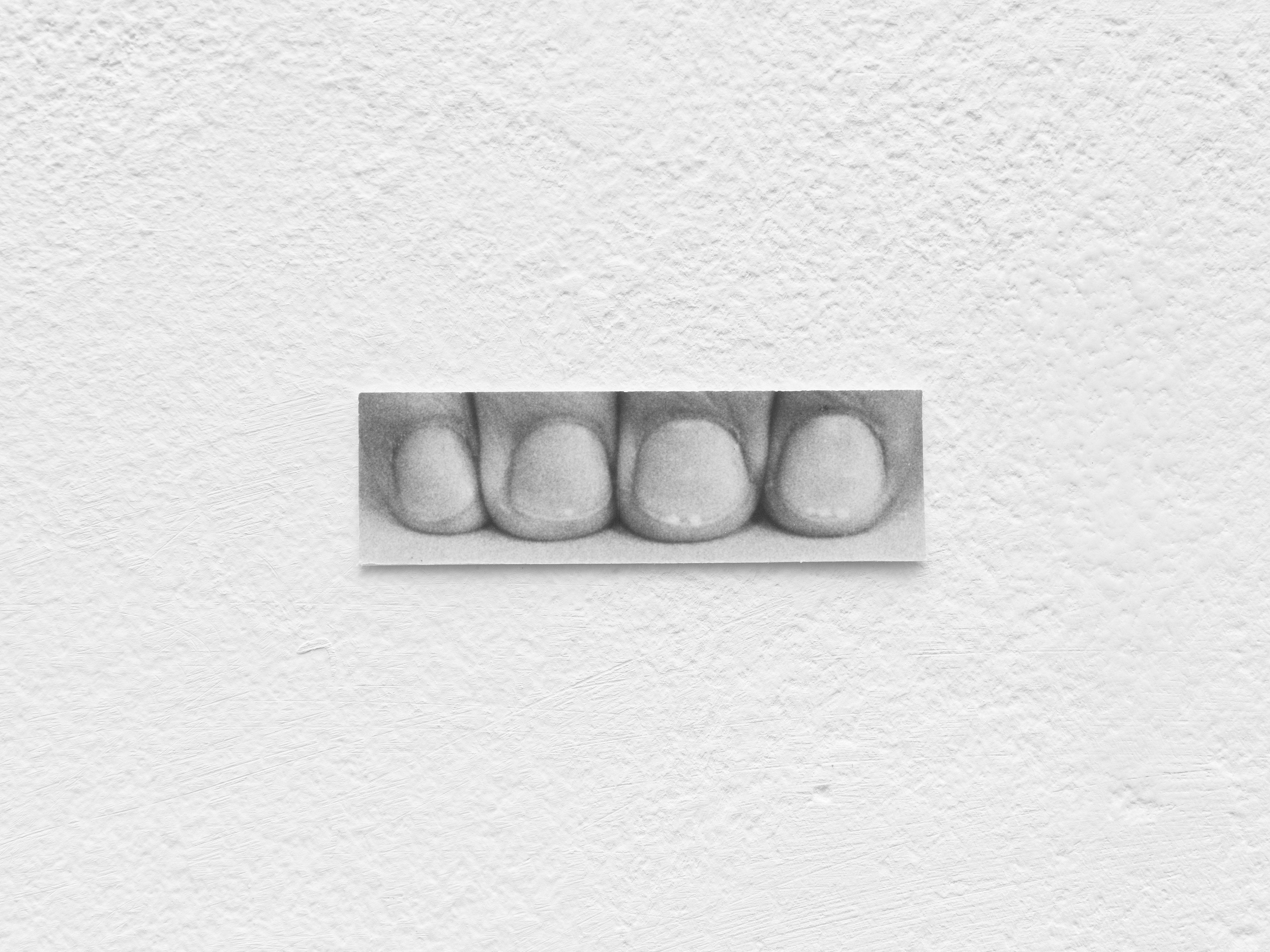Jochen Lempert, Presentation of a Large Book and Small Photos at BQ, photo 32
