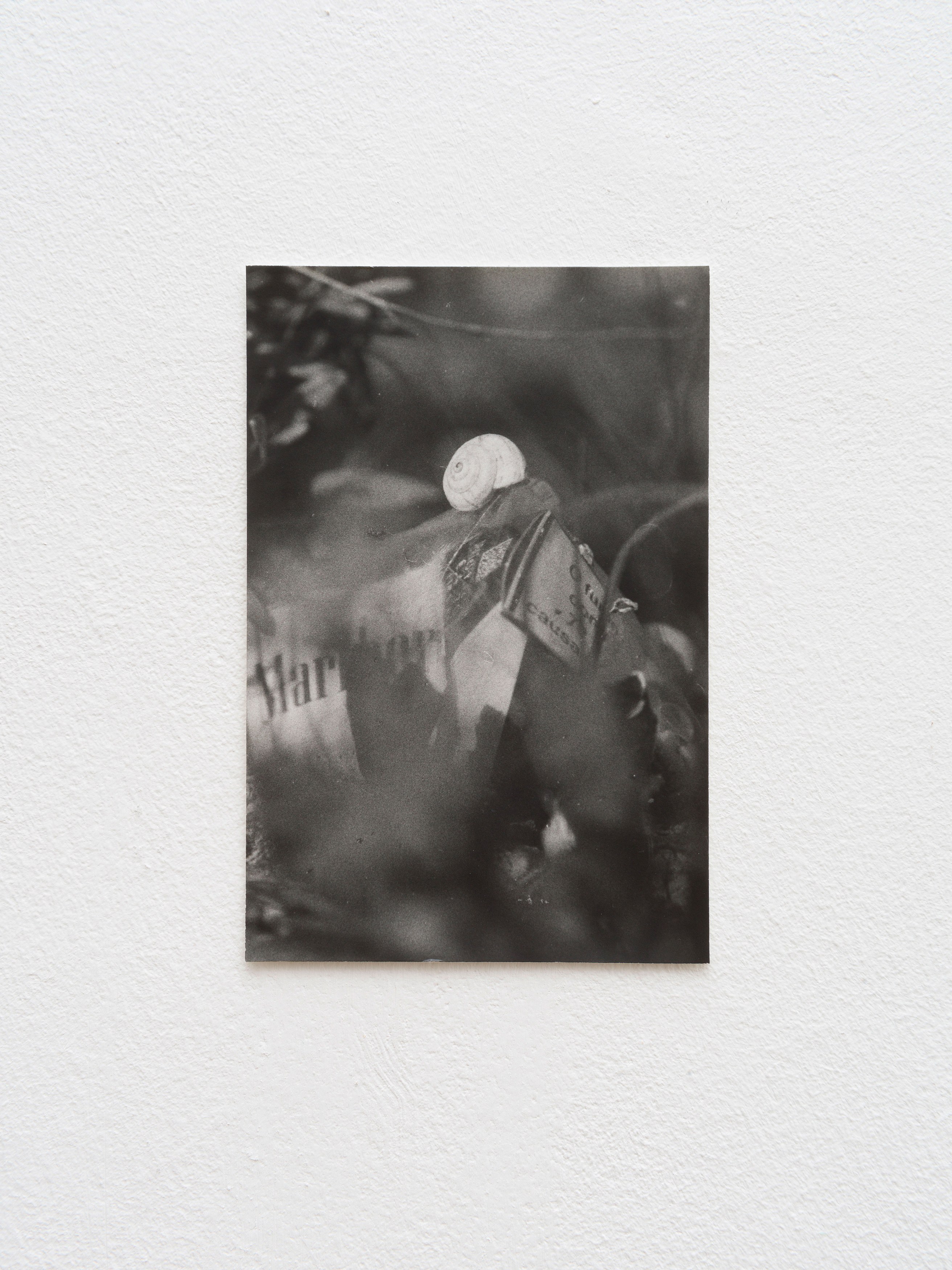 Jochen Lempert, Presentation of a Large Book and Small Photos at BQ, photo 33