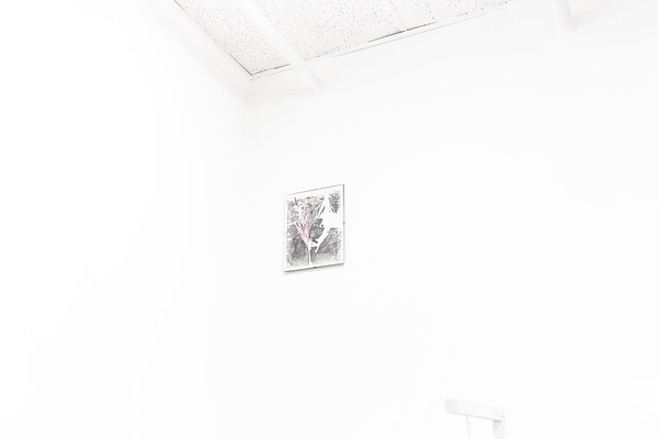 Image 23 of 31