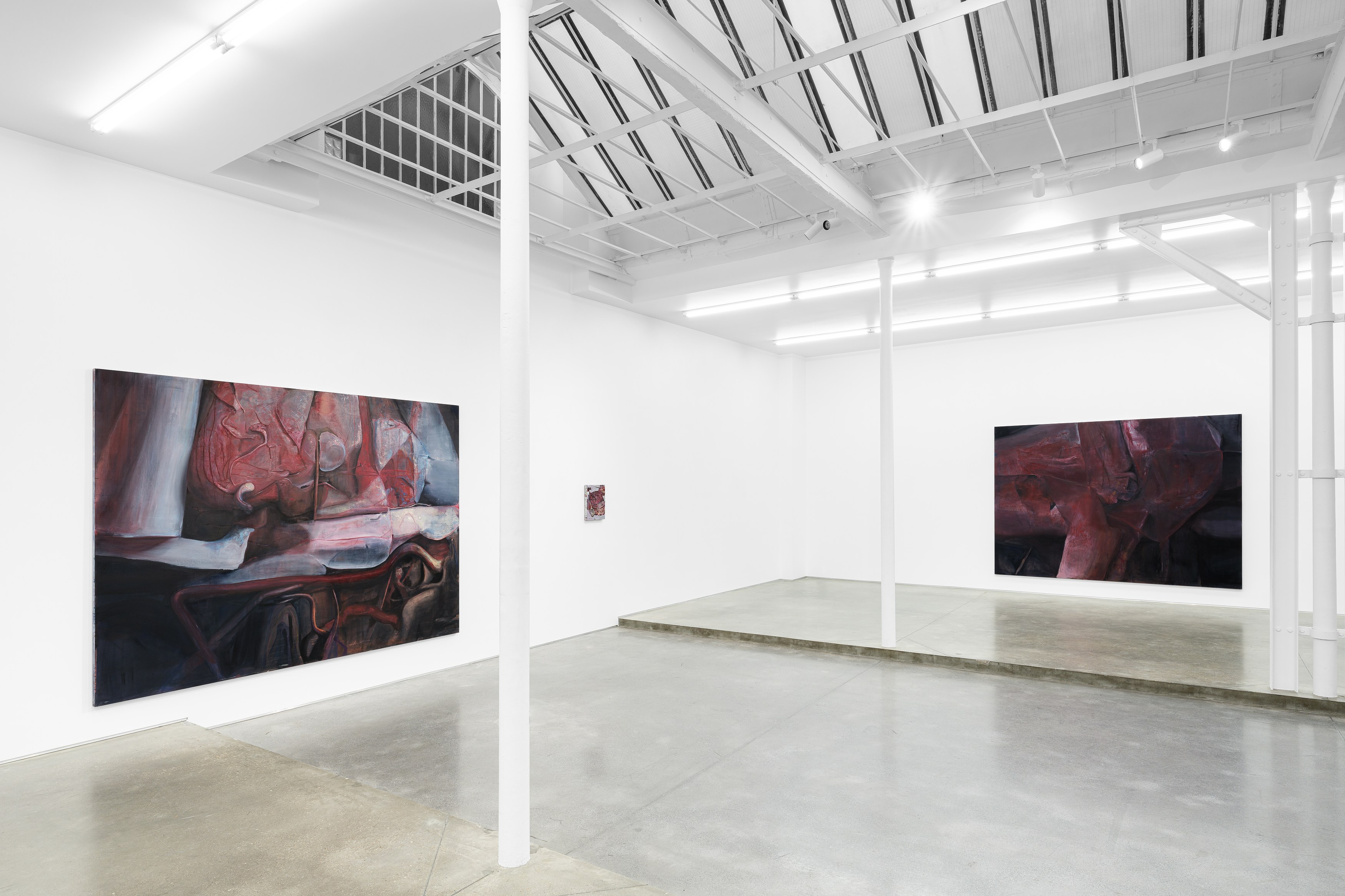 Keunmin Lee, When hallucination is no longer a symptom at Galerie Derouillon, photo 6