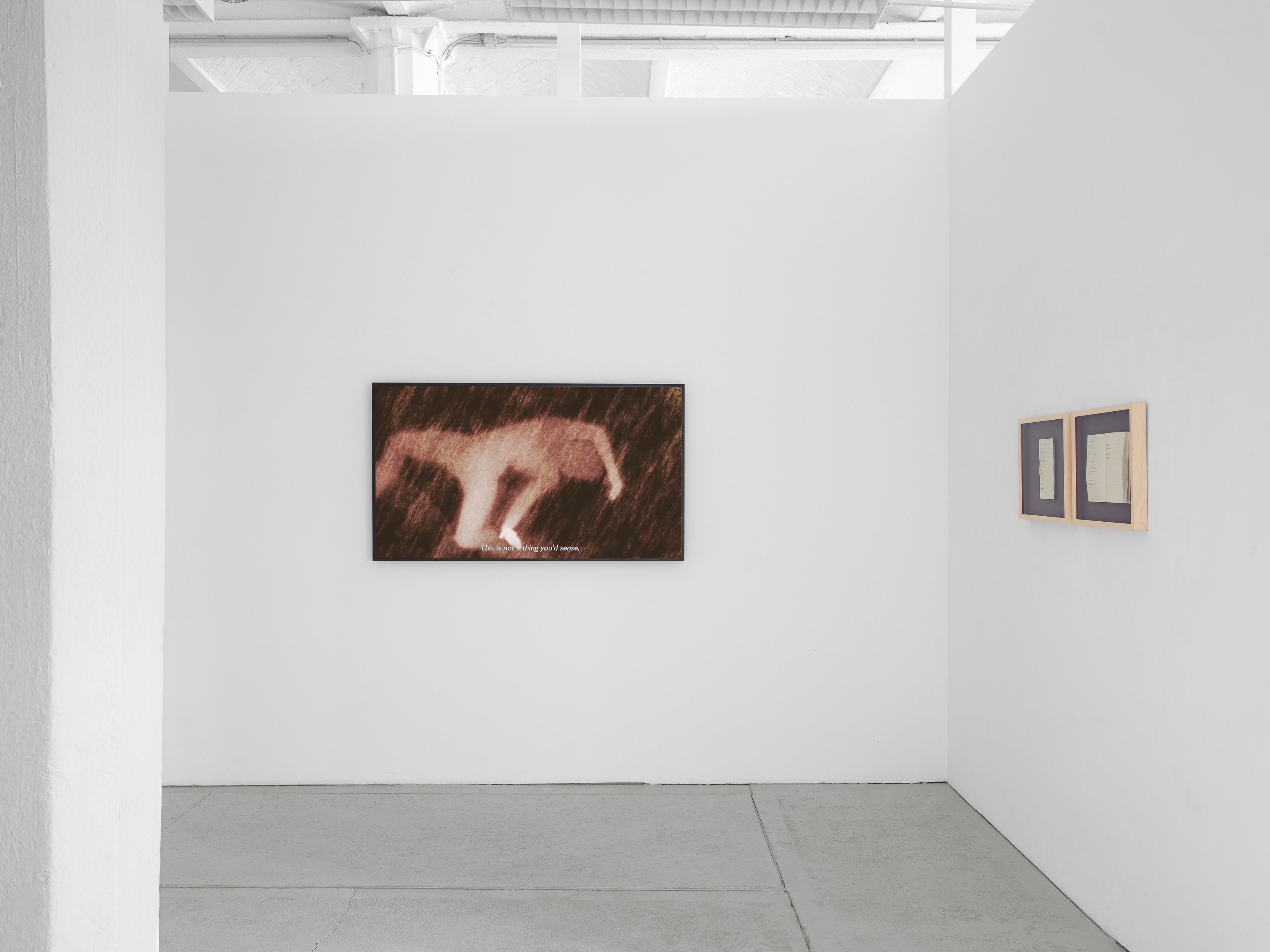 Ana Maria Caballero, Echo Graph at Office Impart, photo 4