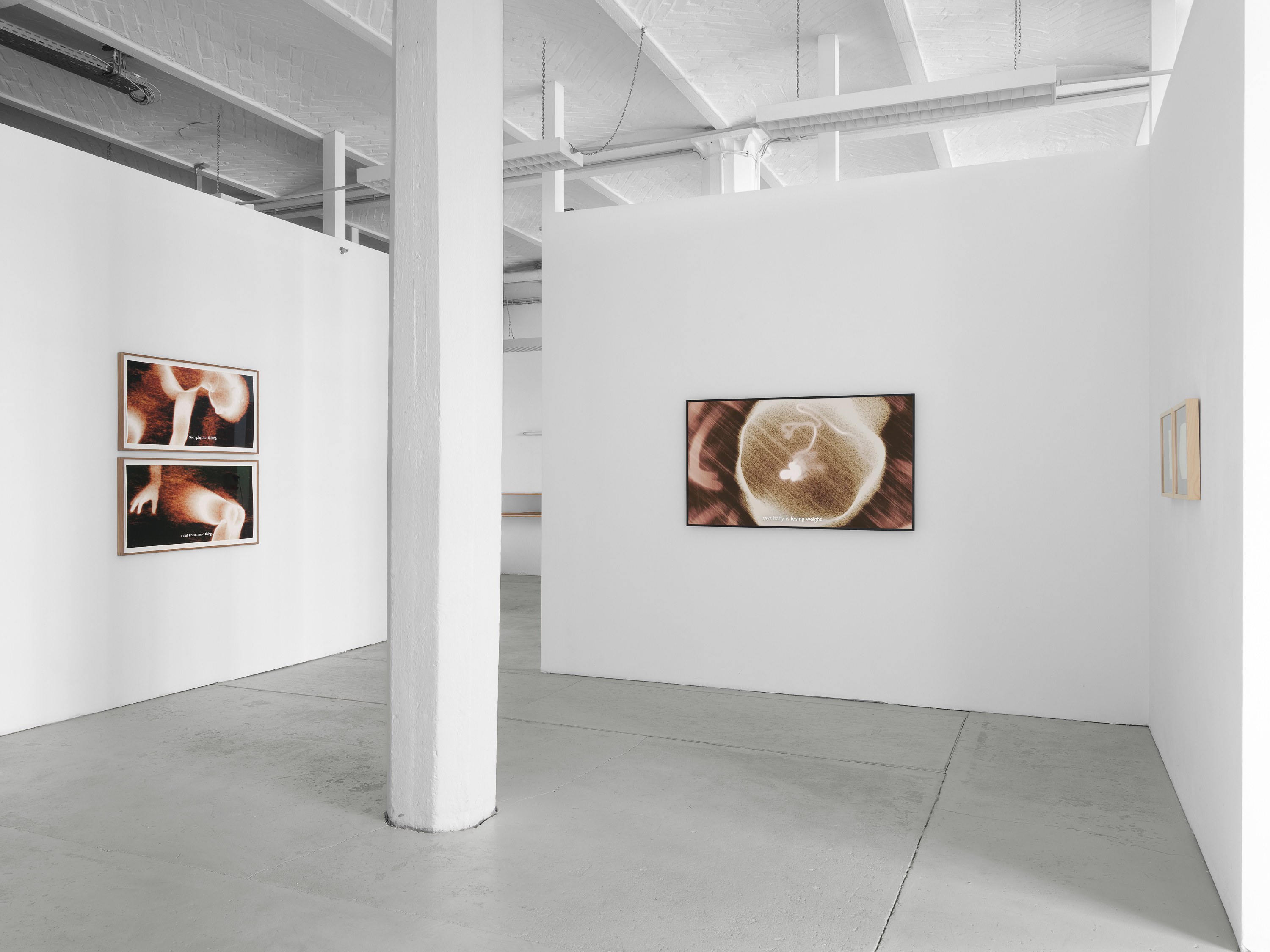 Ana Maria Caballero, Echo Graph at Office Impart, photo 3