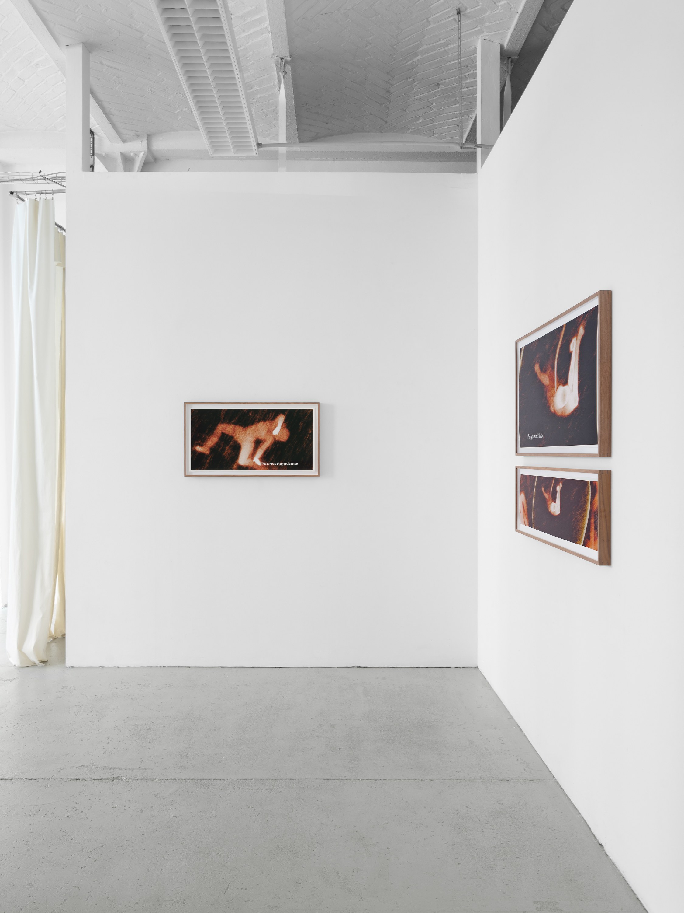Ana Maria Caballero, Echo Graph at Office Impart, photo 5