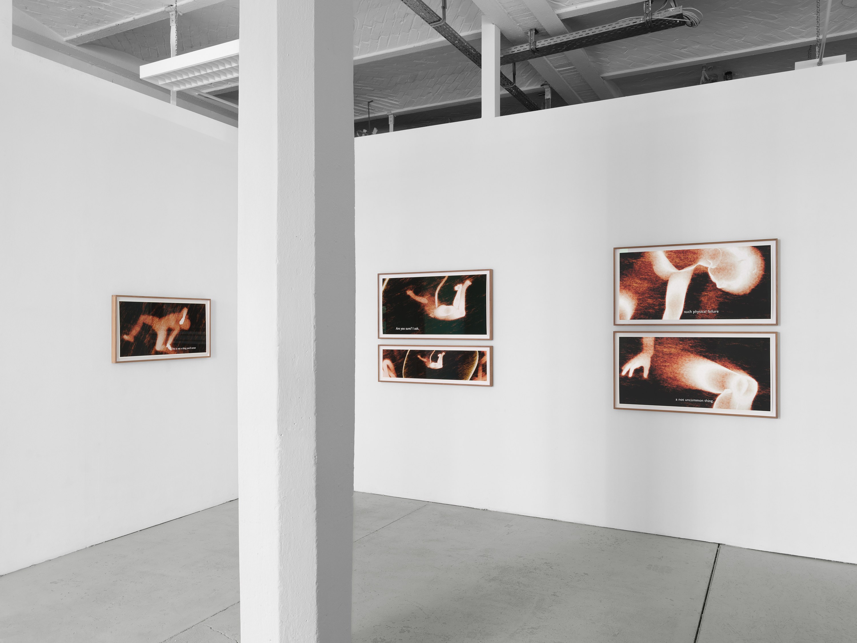 Ana Maria Caballero, Echo Graph at Office Impart, photo 6