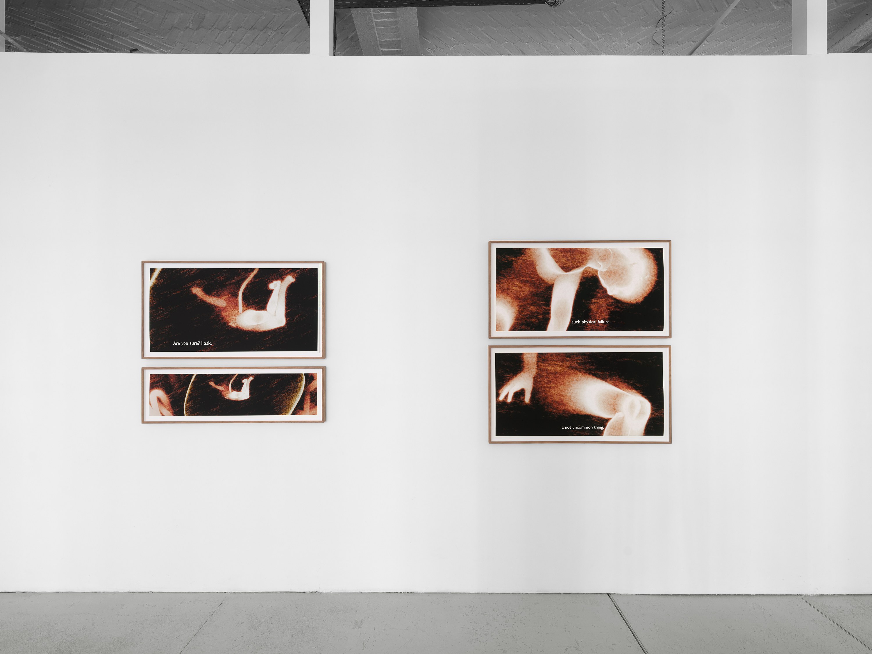 Ana Maria Caballero, Echo Graph at Office Impart, photo 7