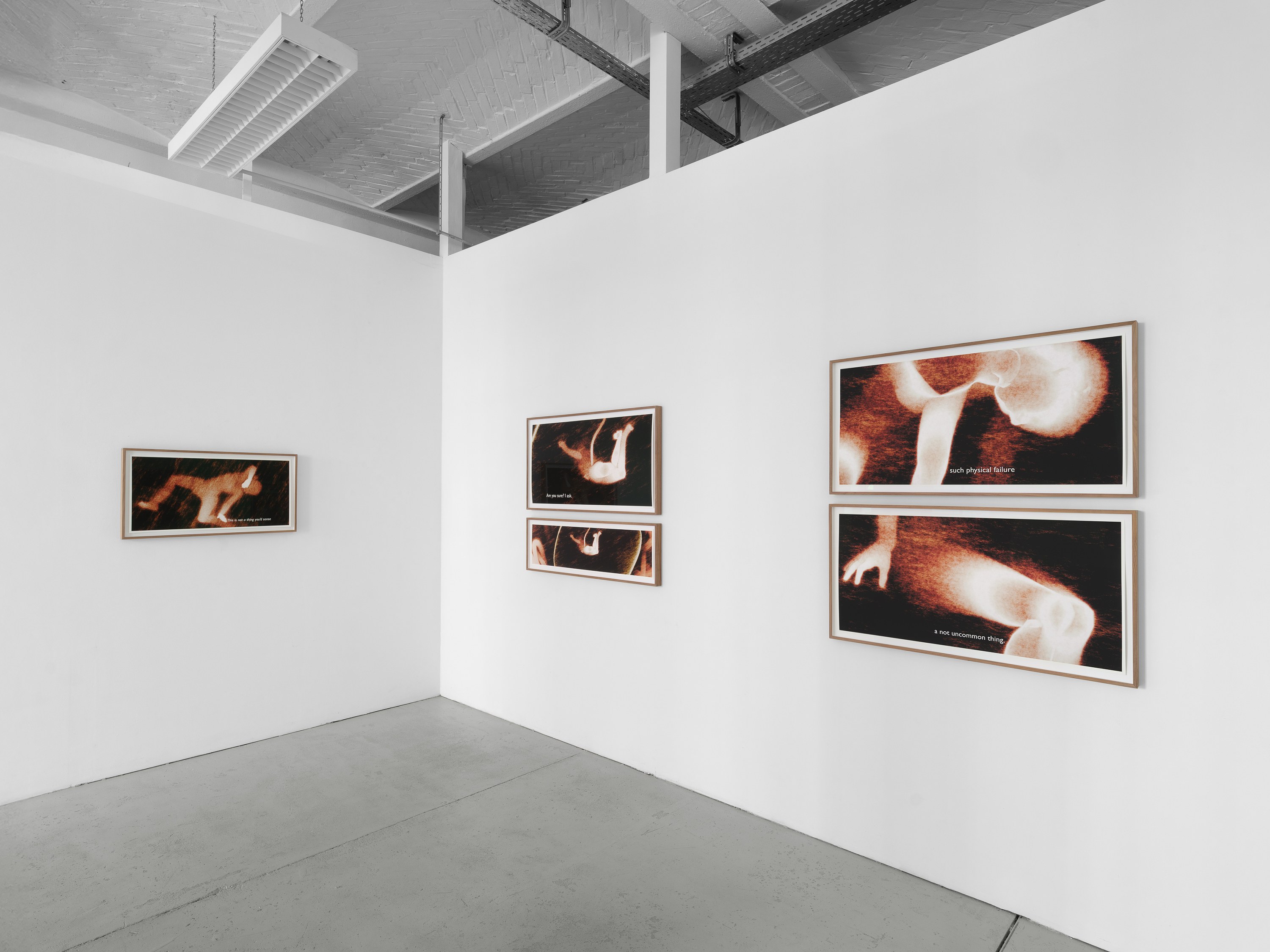 Ana Maria Caballero, Echo Graph at Office Impart, photo 8