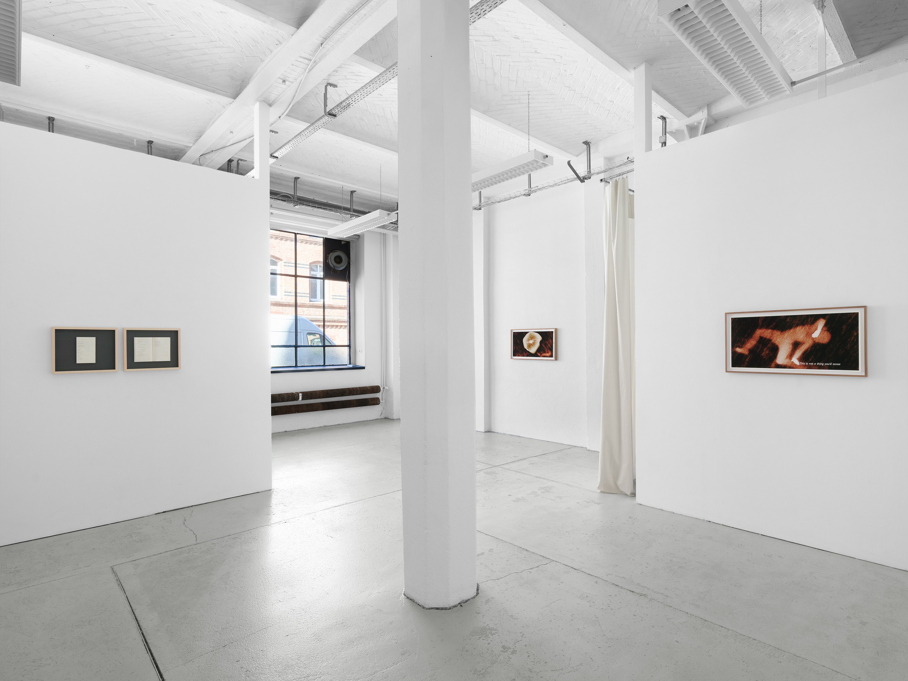 Ana Maria Caballero, Echo Graph at Office Impart, photo 10