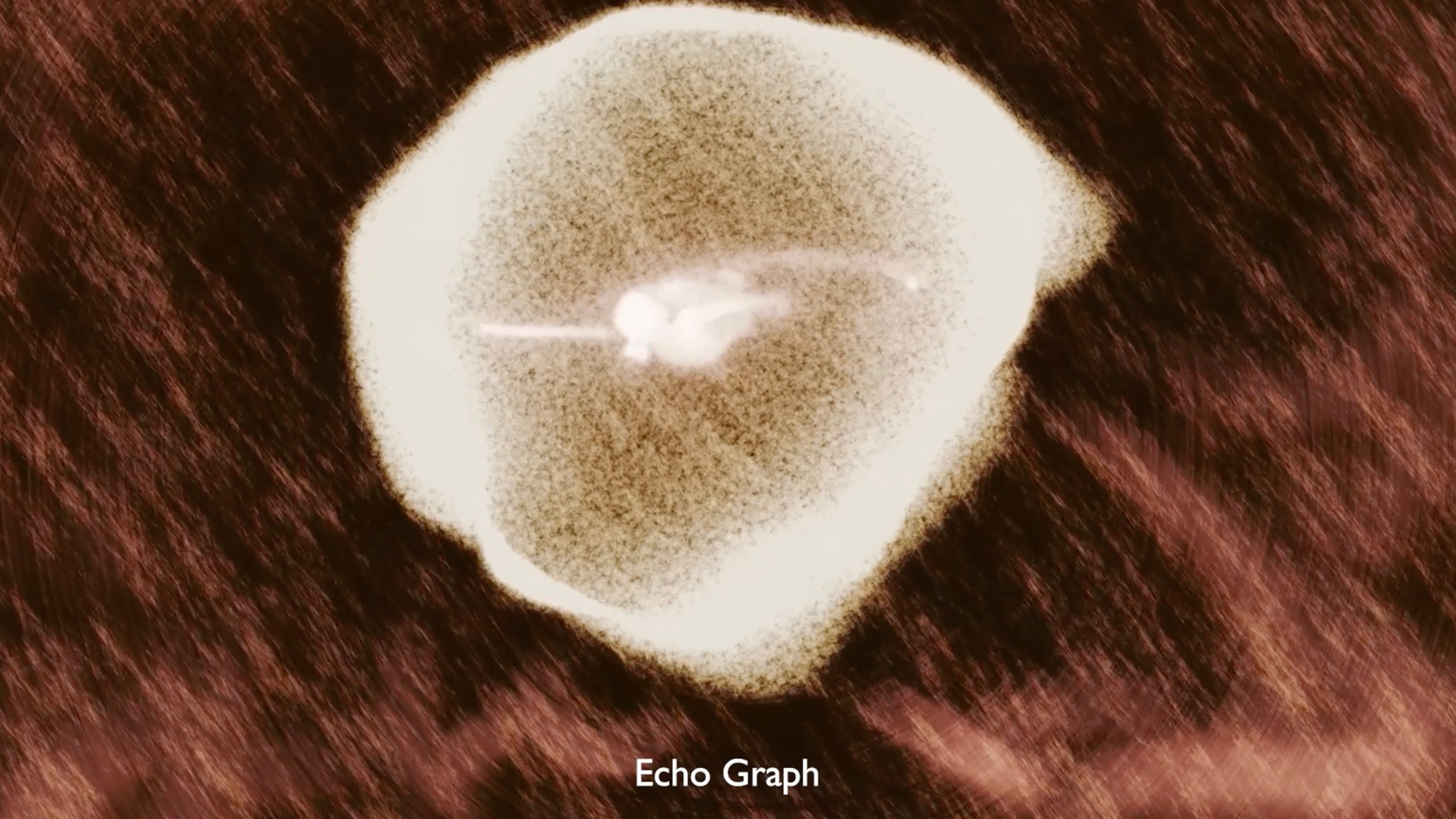 Ana Maria Caballero, Echo Graph at Office Impart, photo 13
