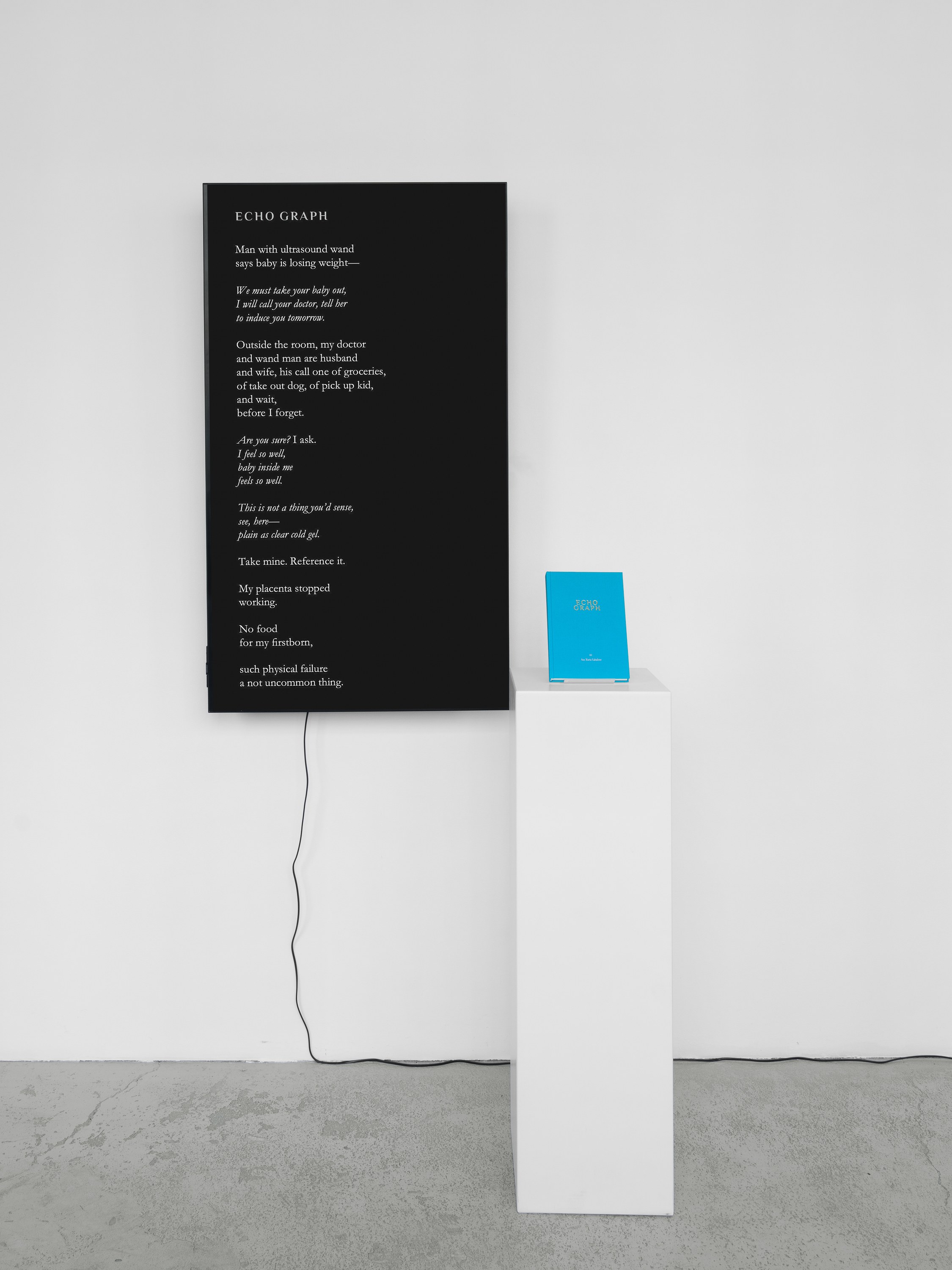 Ana Maria Caballero, Echo Graph at Office Impart, photo 23