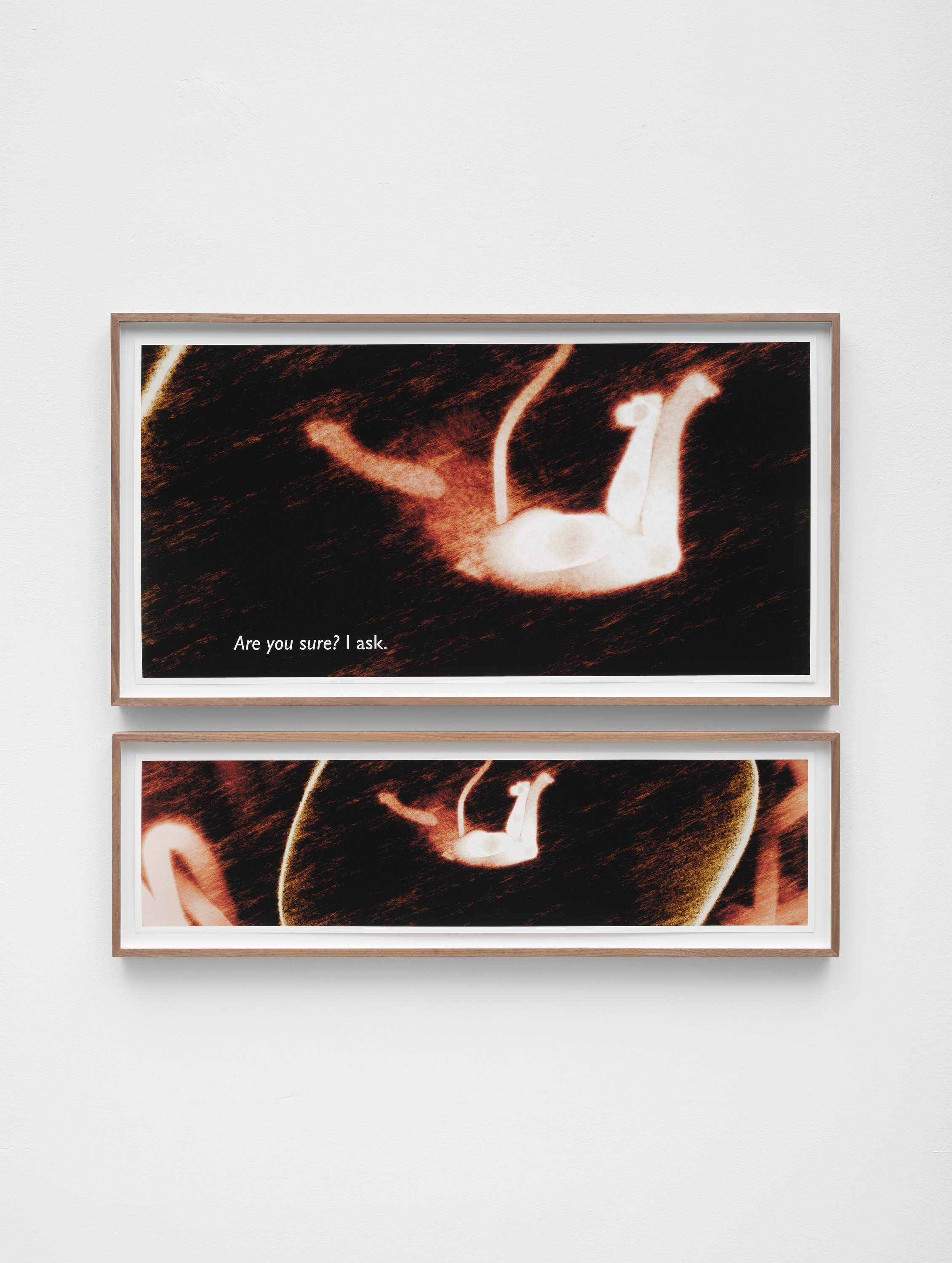 Ana Maria Caballero, Echo Graph at Office Impart, photo 16