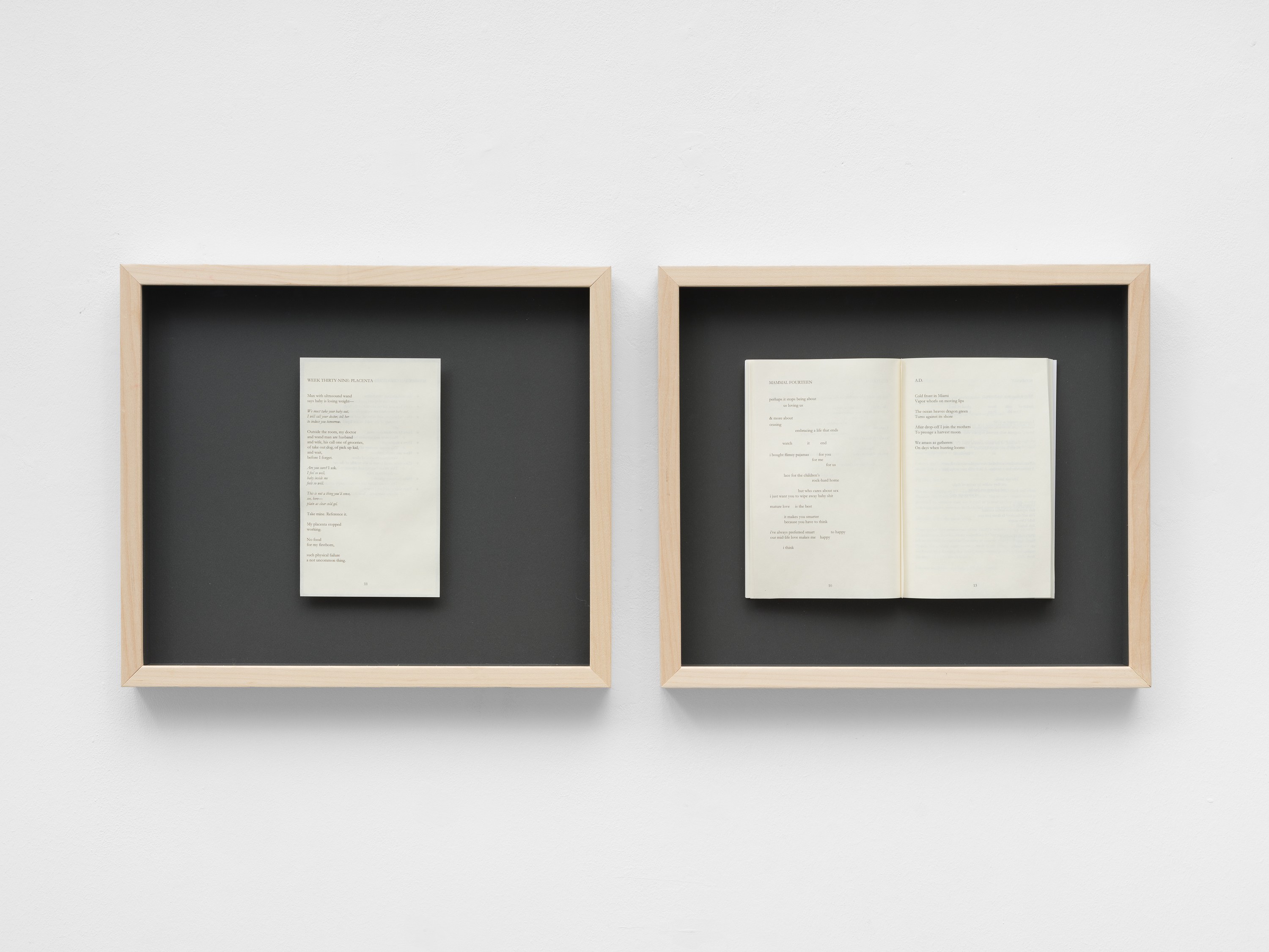 Ana Maria Caballero, Echo Graph at Office Impart, photo 17