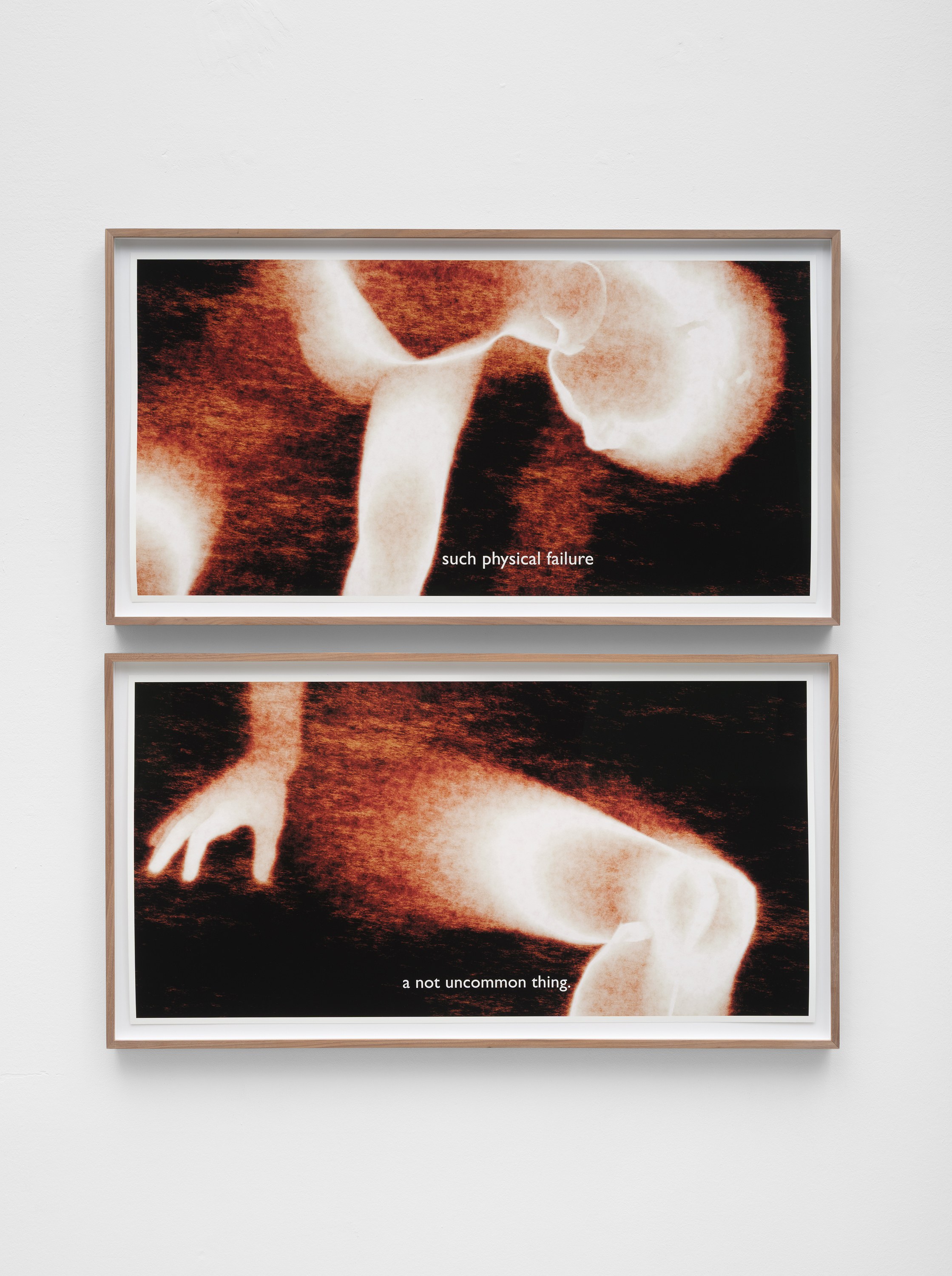 Ana Maria Caballero, Echo Graph at Office Impart, photo 18