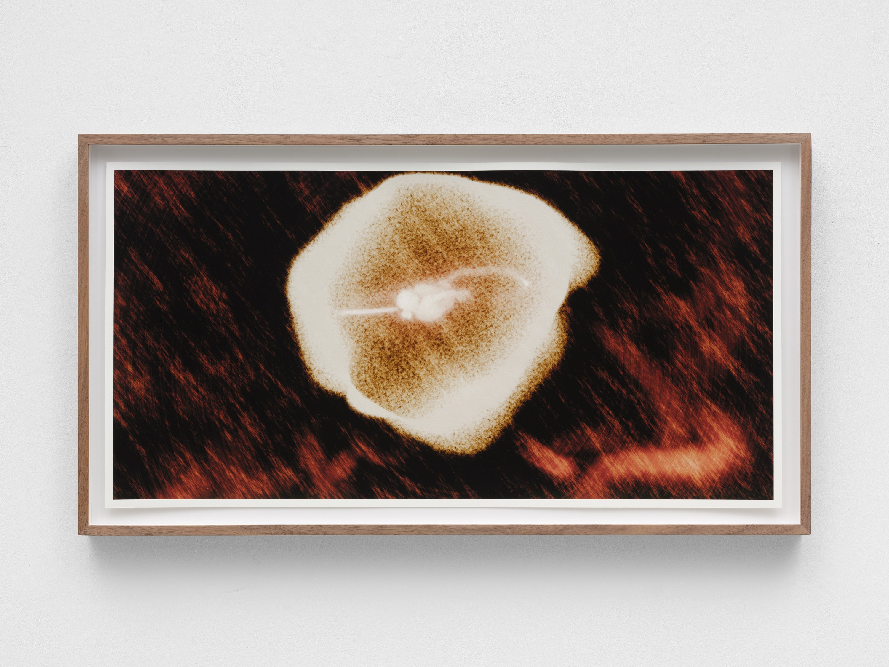 Ana Maria Caballero, Echo Graph at Office Impart, photo 12