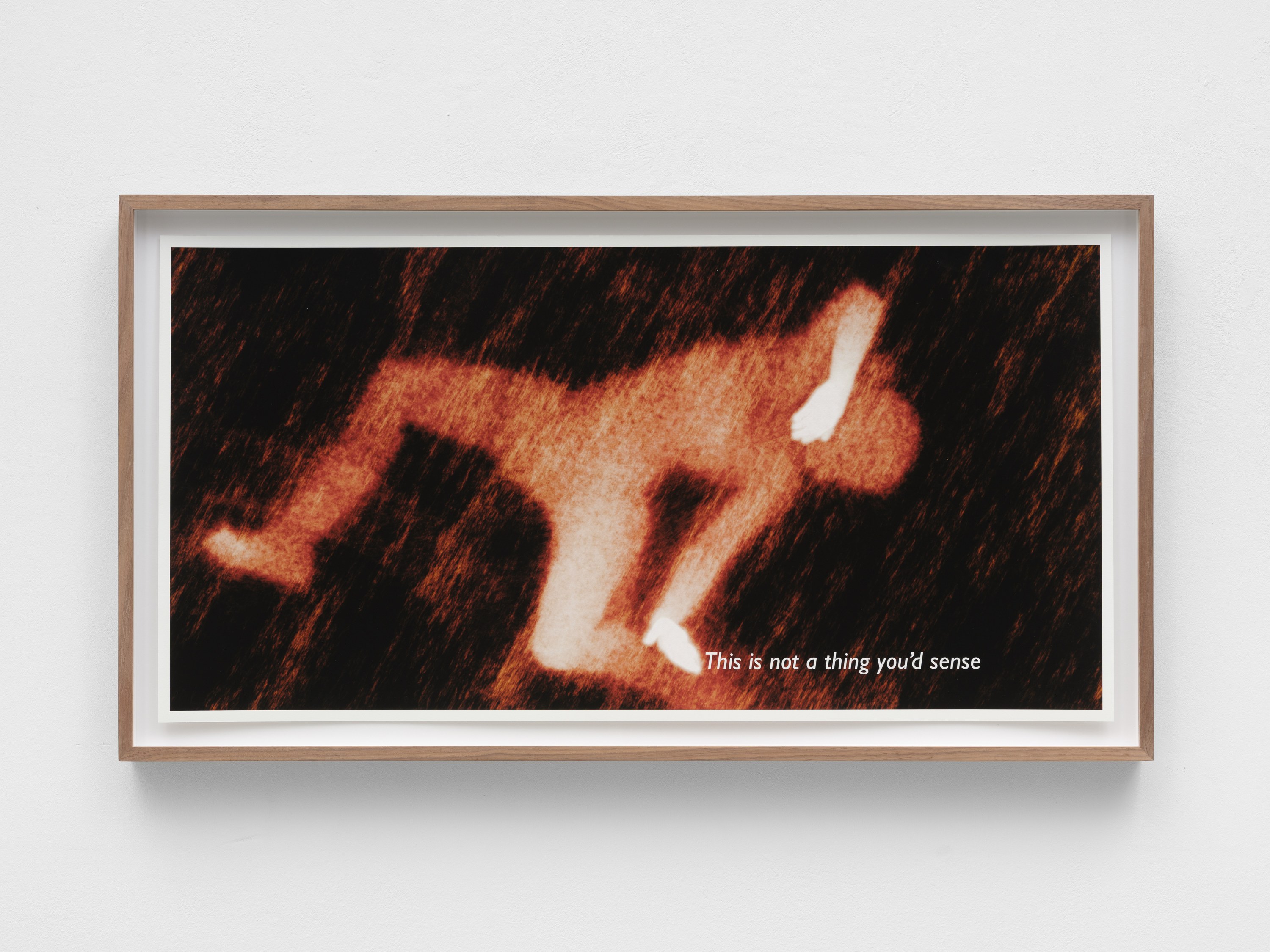 Ana Maria Caballero, Echo Graph at Office Impart, photo 20
