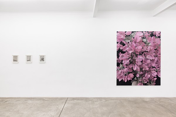 Image 1 of 22
