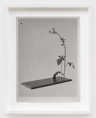 Image 19 of 22