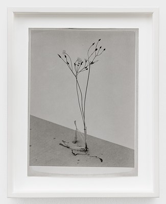 Image 20 of 22