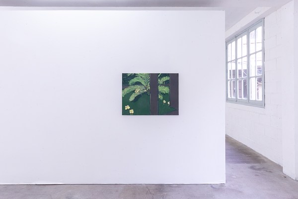 Image 5 of 30