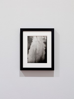 Image 7 of 43