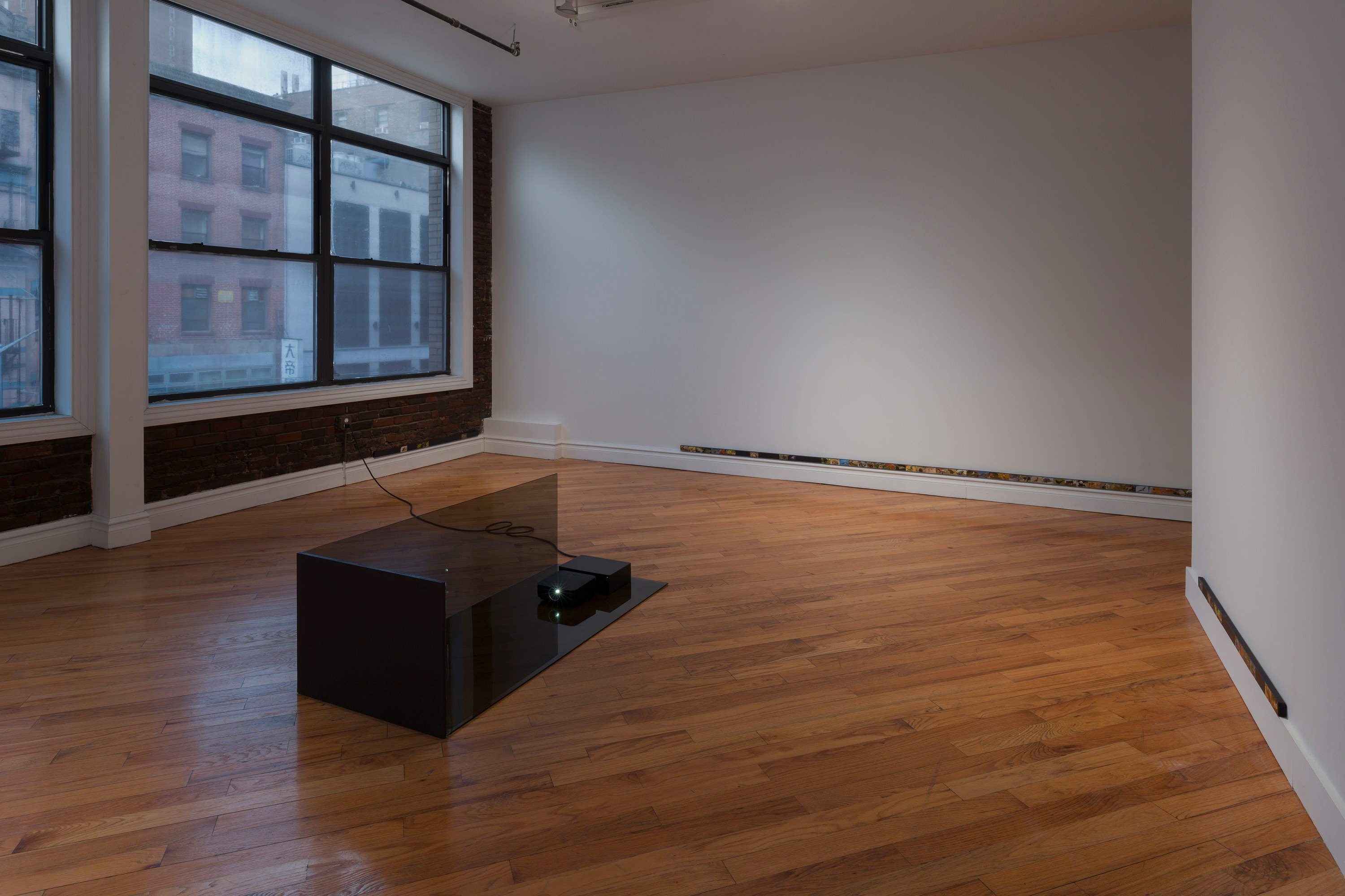 Adriana Ramić, Beetle at David Peter Francis, photo 2