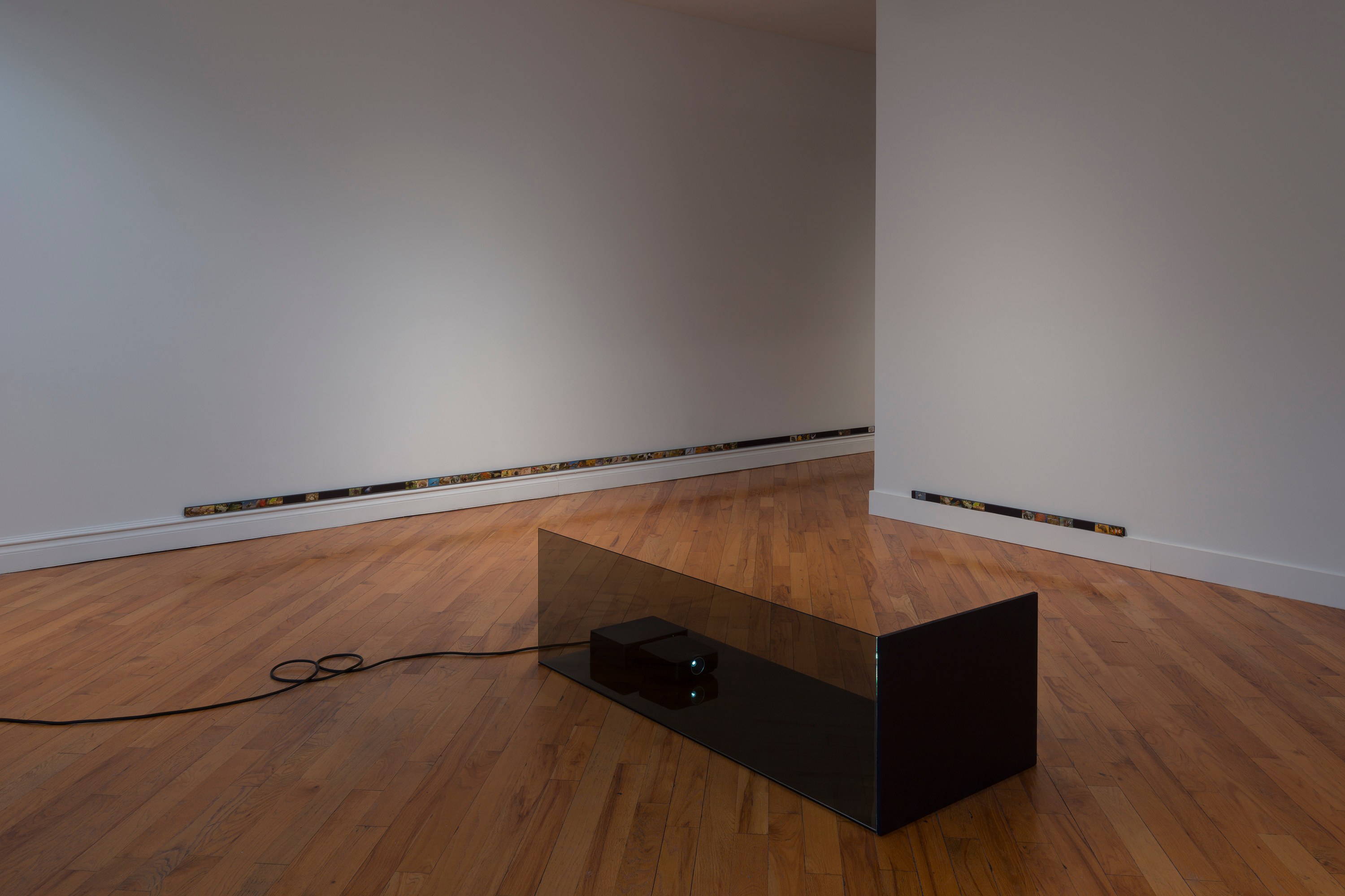 Adriana Ramić, Beetle at David Peter Francis, photo 3