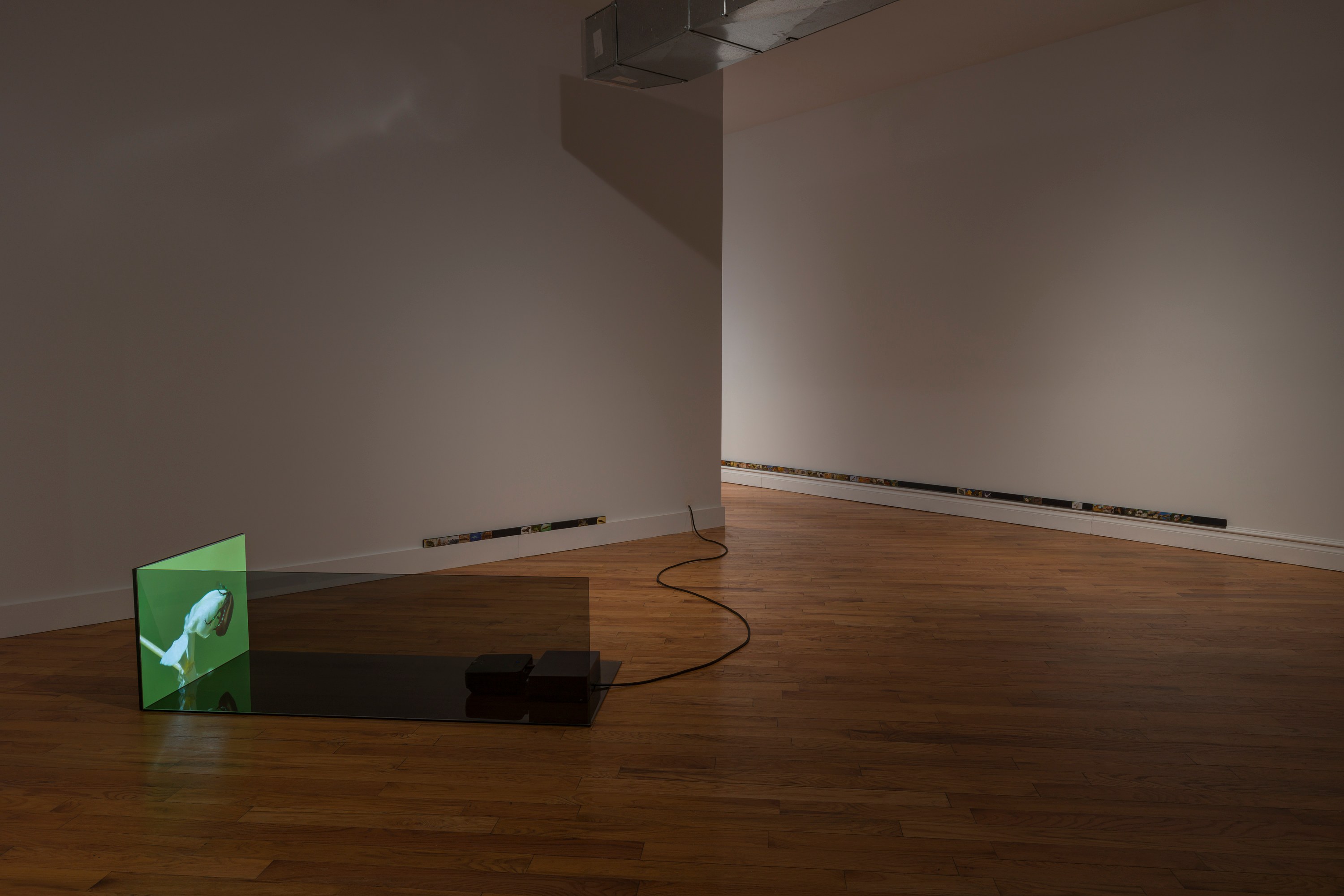 Adriana Ramić, Beetle at David Peter Francis, photo 10