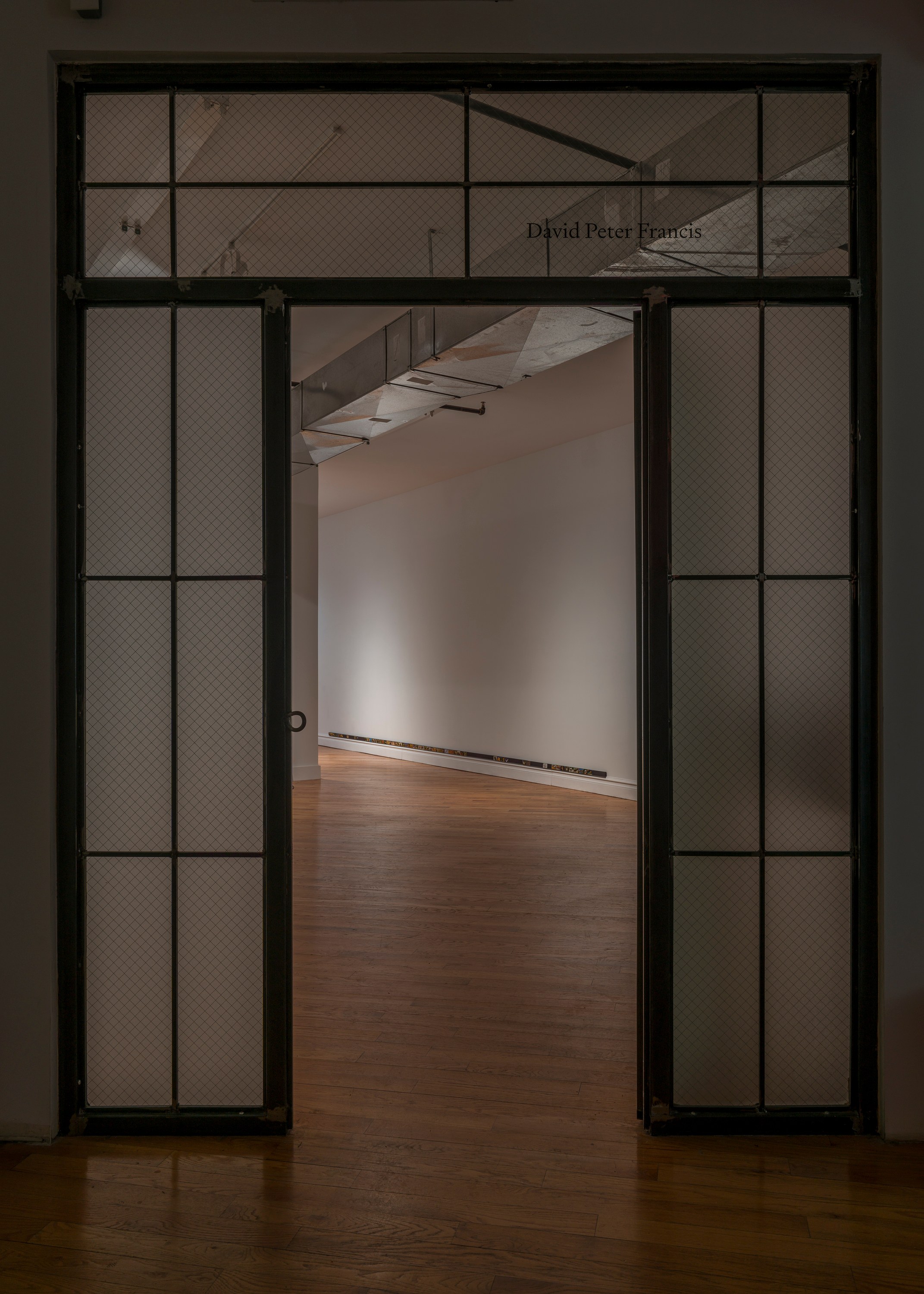 Adriana Ramić, Beetle at David Peter Francis, photo 11