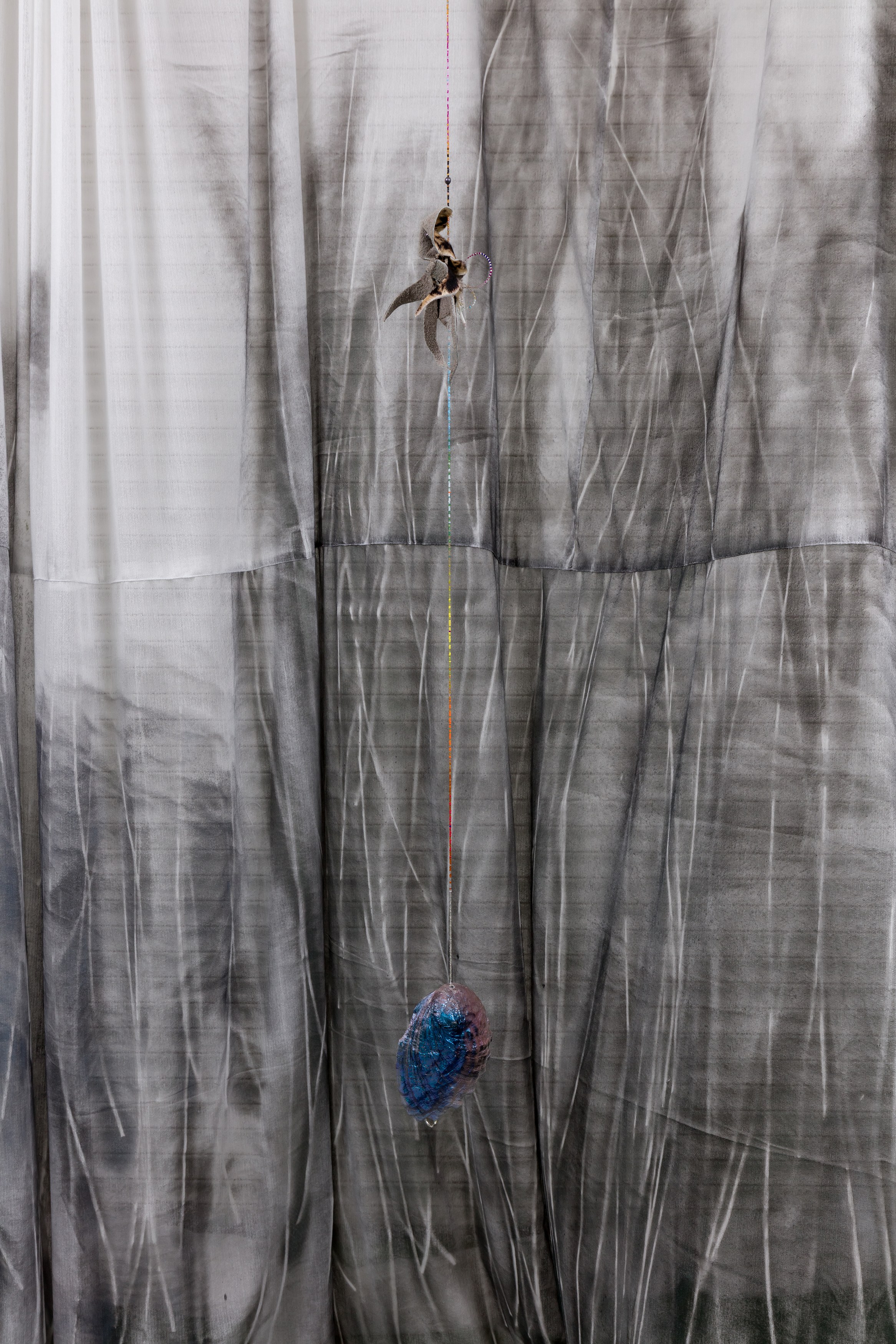 Anthony Baussy, Tyler Eash, image 17 of 117