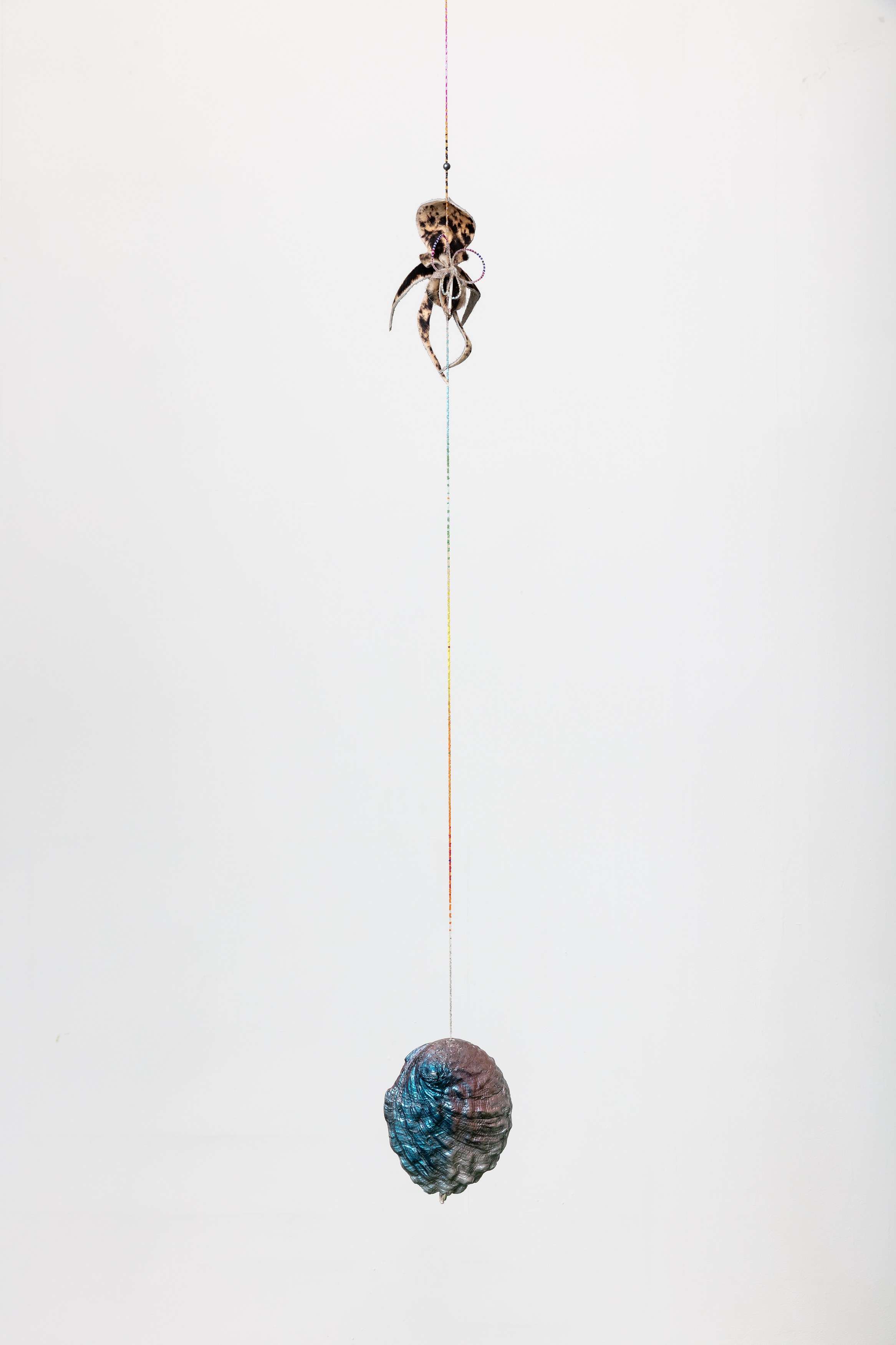 Anthony Baussy, Tyler Eash, image 63 of 117