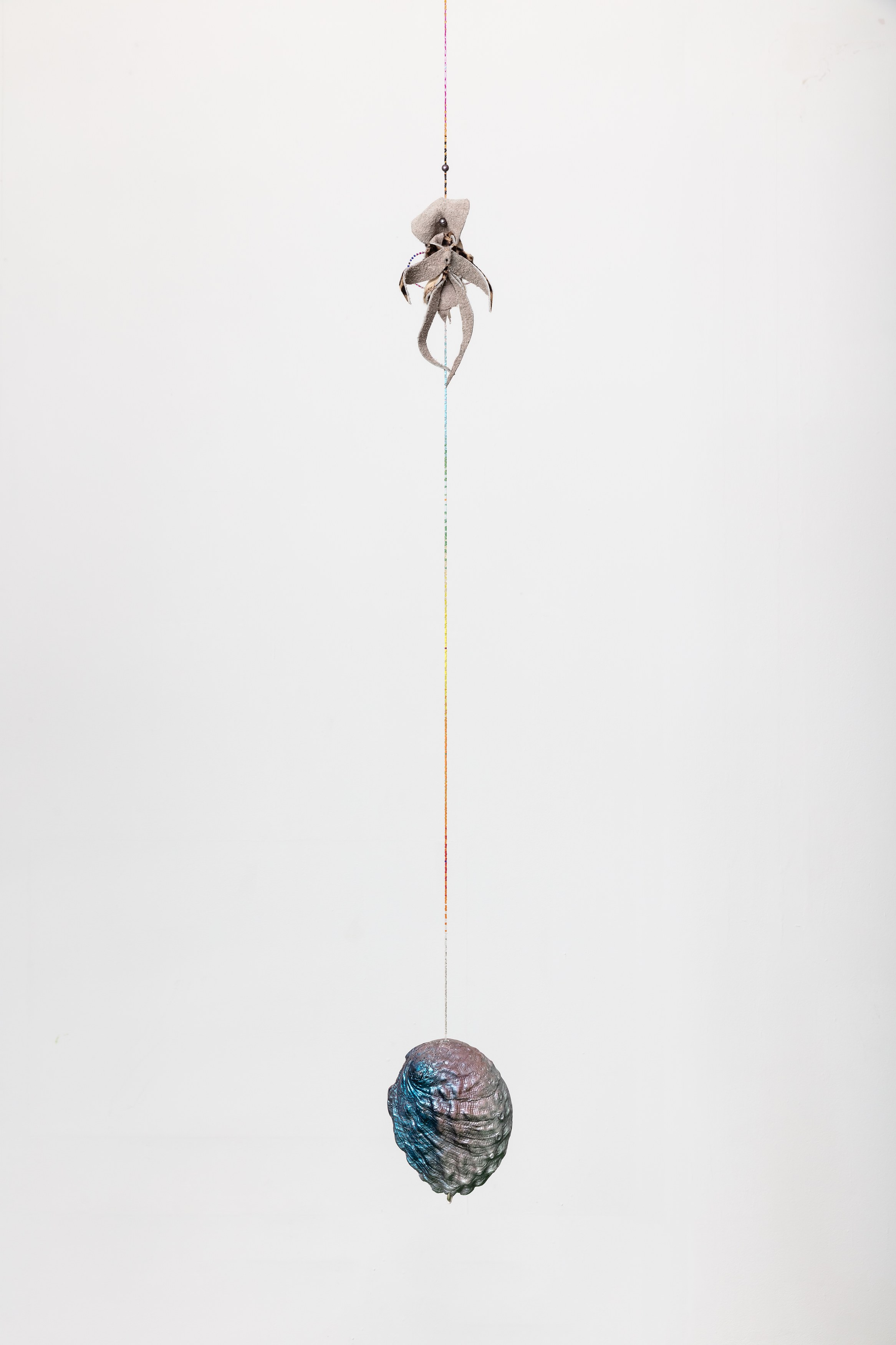Anthony Baussy, Tyler Eash, image 64 of 117