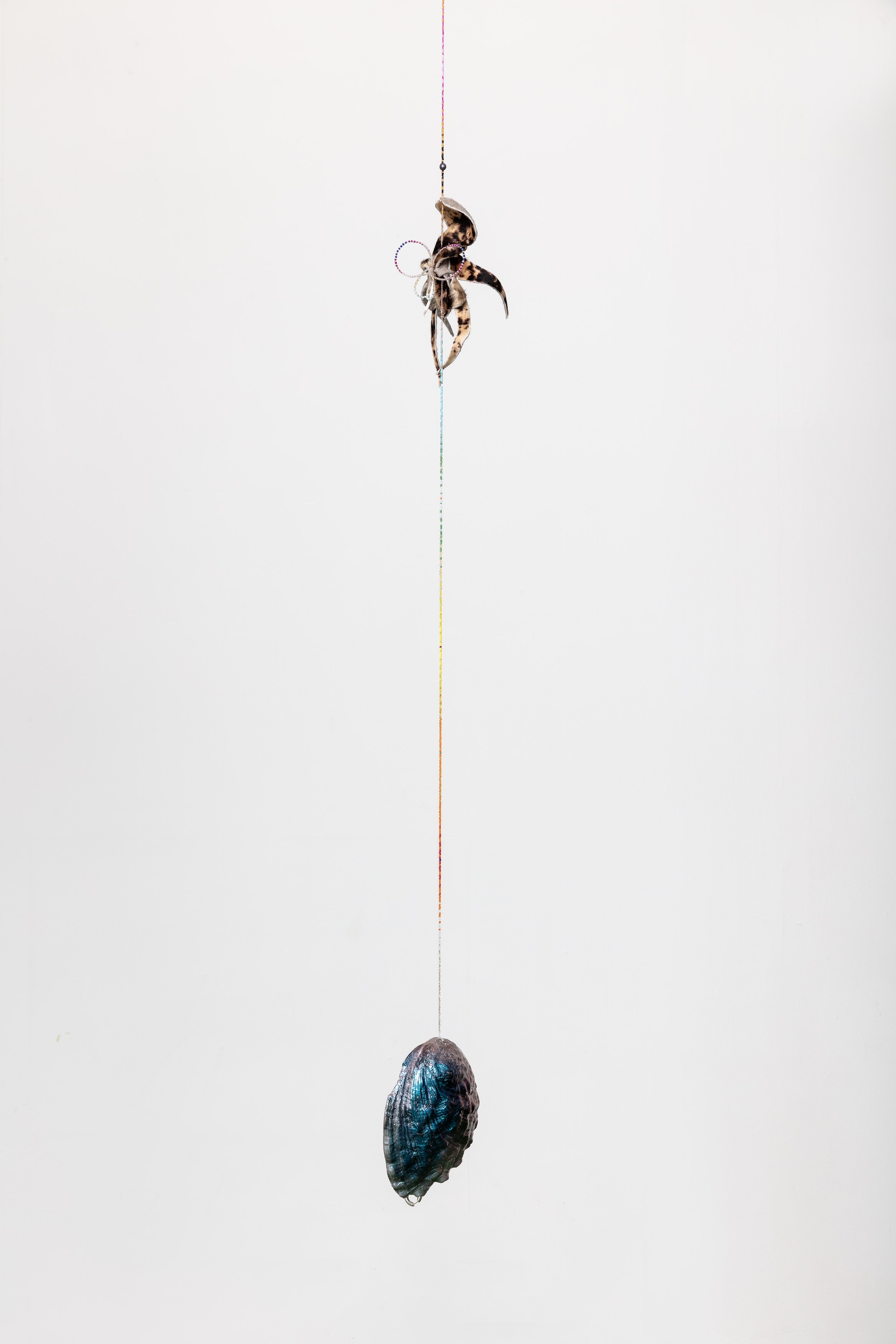 Anthony Baussy, Tyler Eash, image 65 of 117