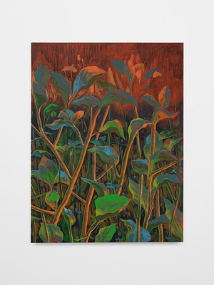 Image 18 of 23