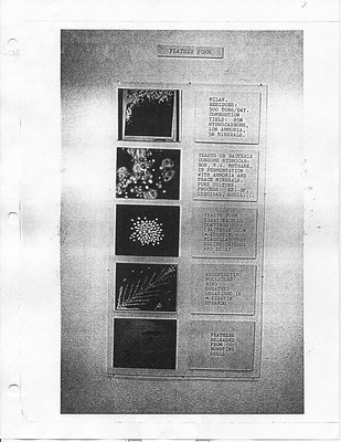 Image 3 of 9