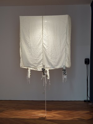 Image 21 of 27
