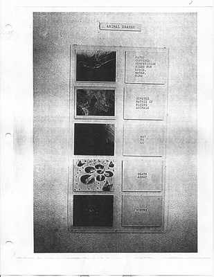 Image 8 of 9