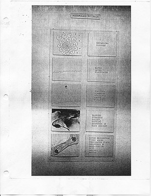 Image 7 of 9